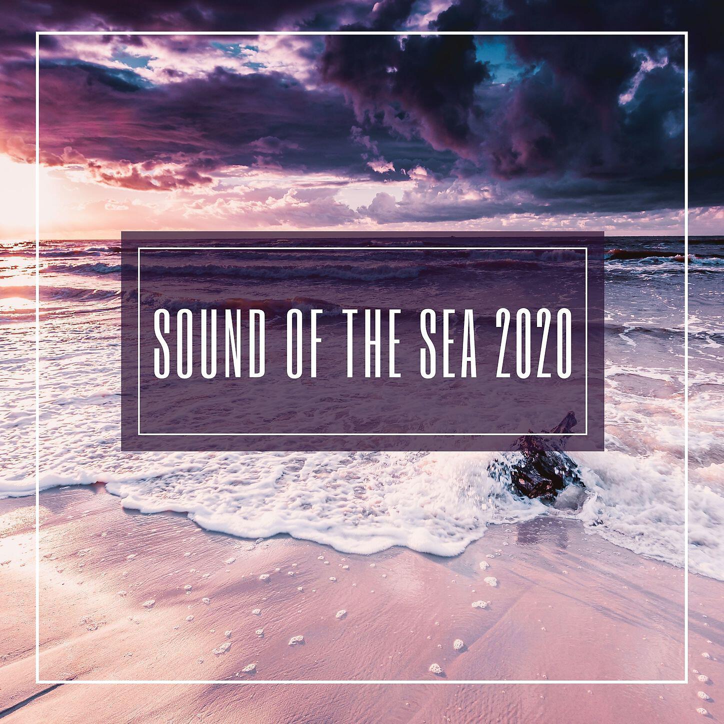 Seashore Waves - Sea Sounds for Sleep