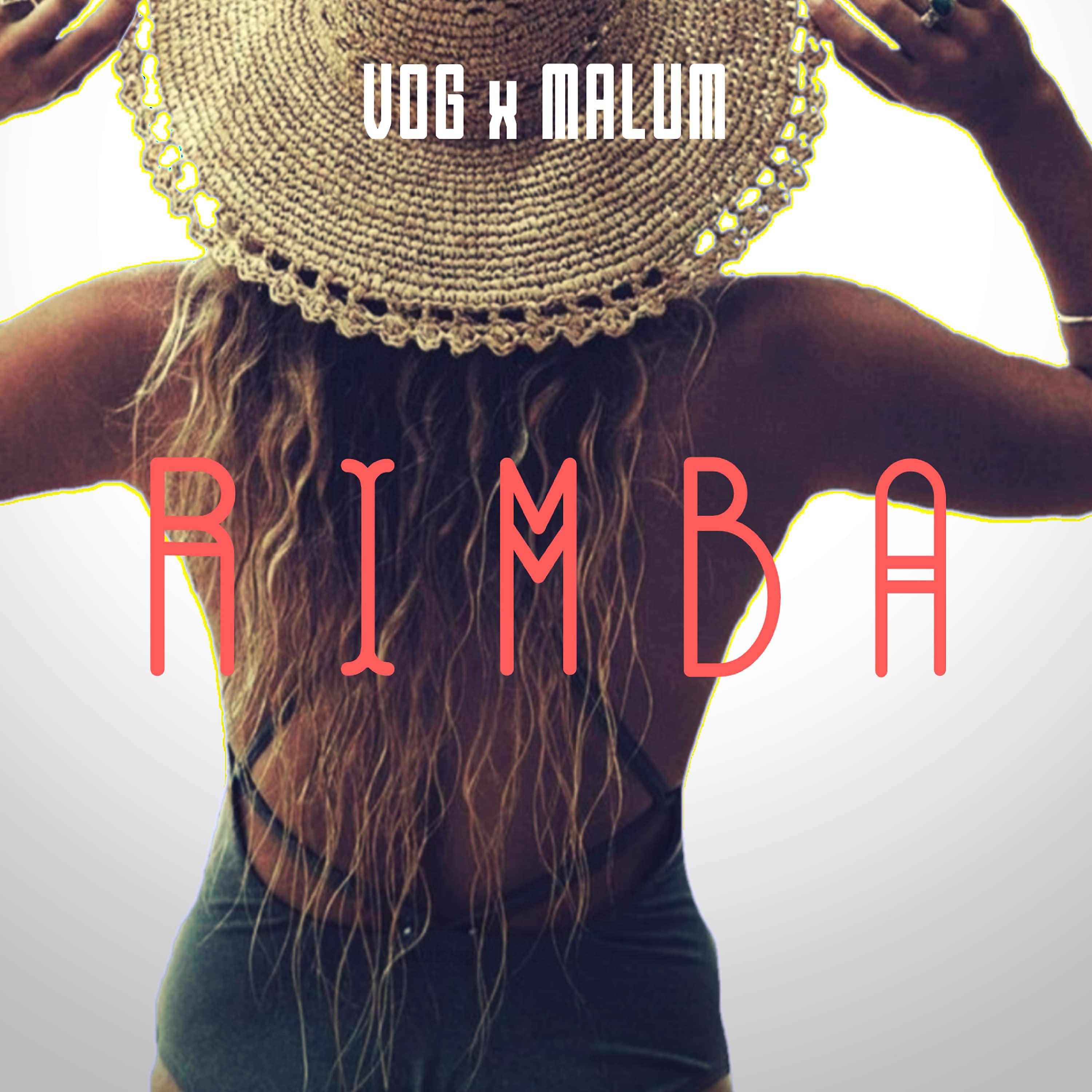 Постер альбома Rimba