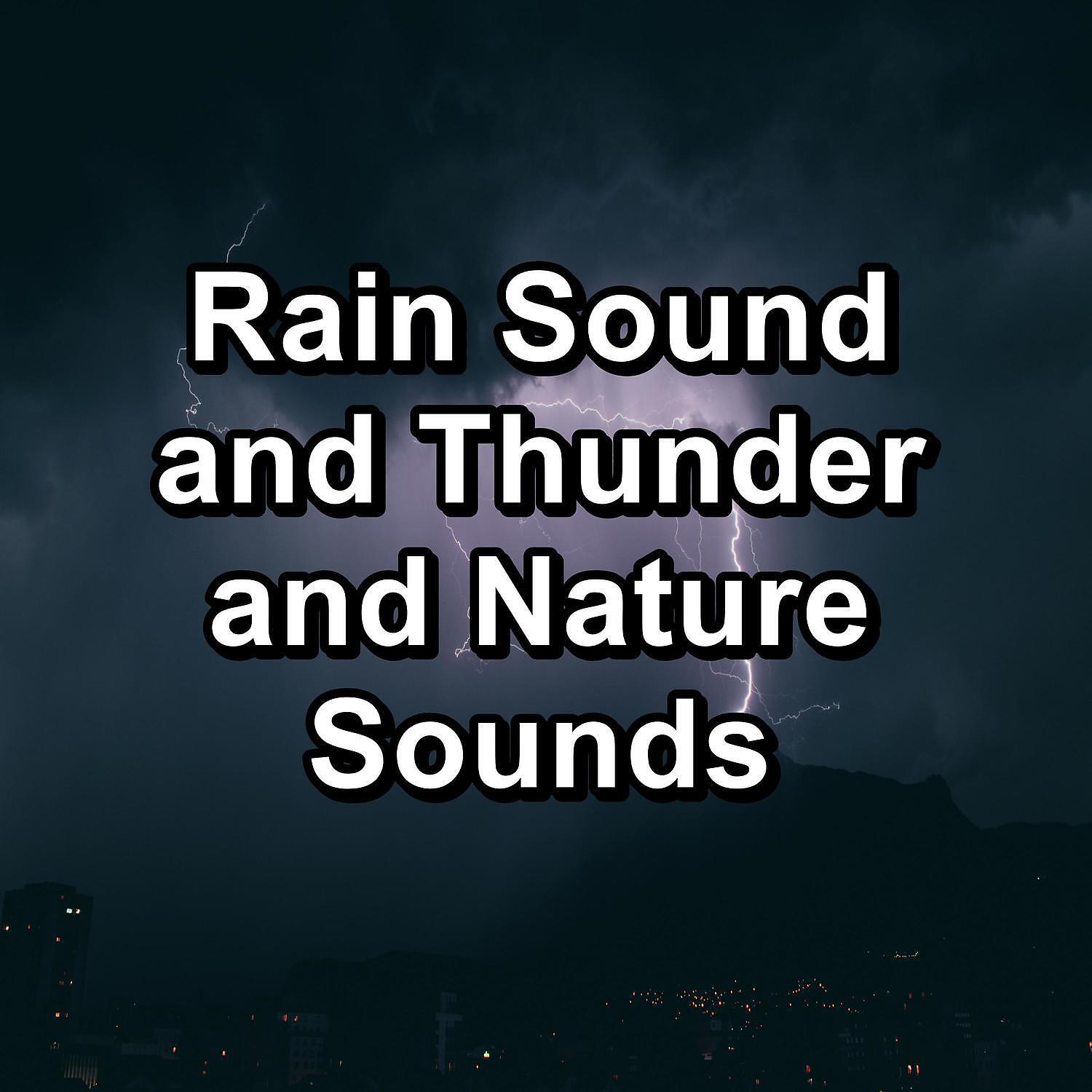 Thunder Storm - Heavy Rain and Thunder with Thunder and White Noise To Help You Sleep