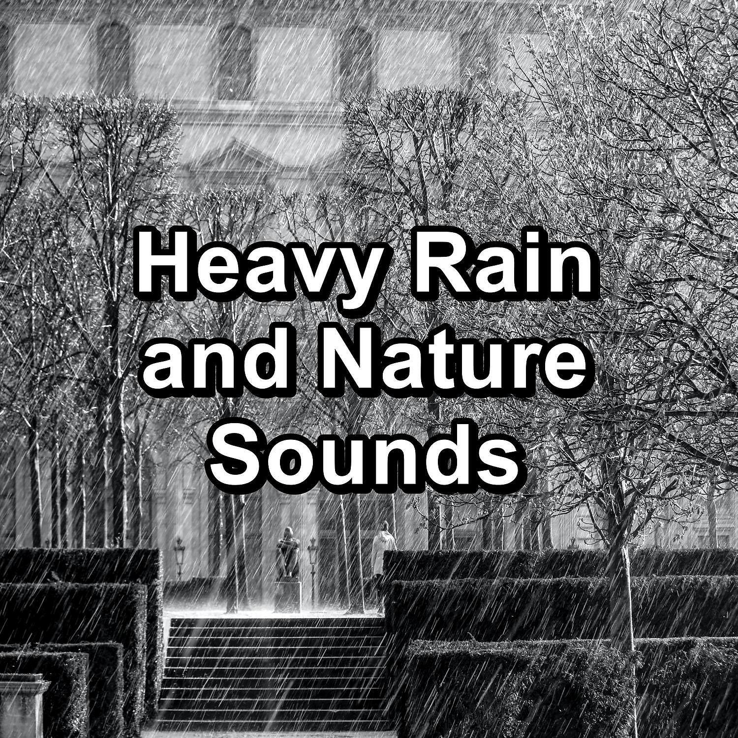 Baby Sleep - Soft Rain on a Tin Roof For Babies to Relax and Rest