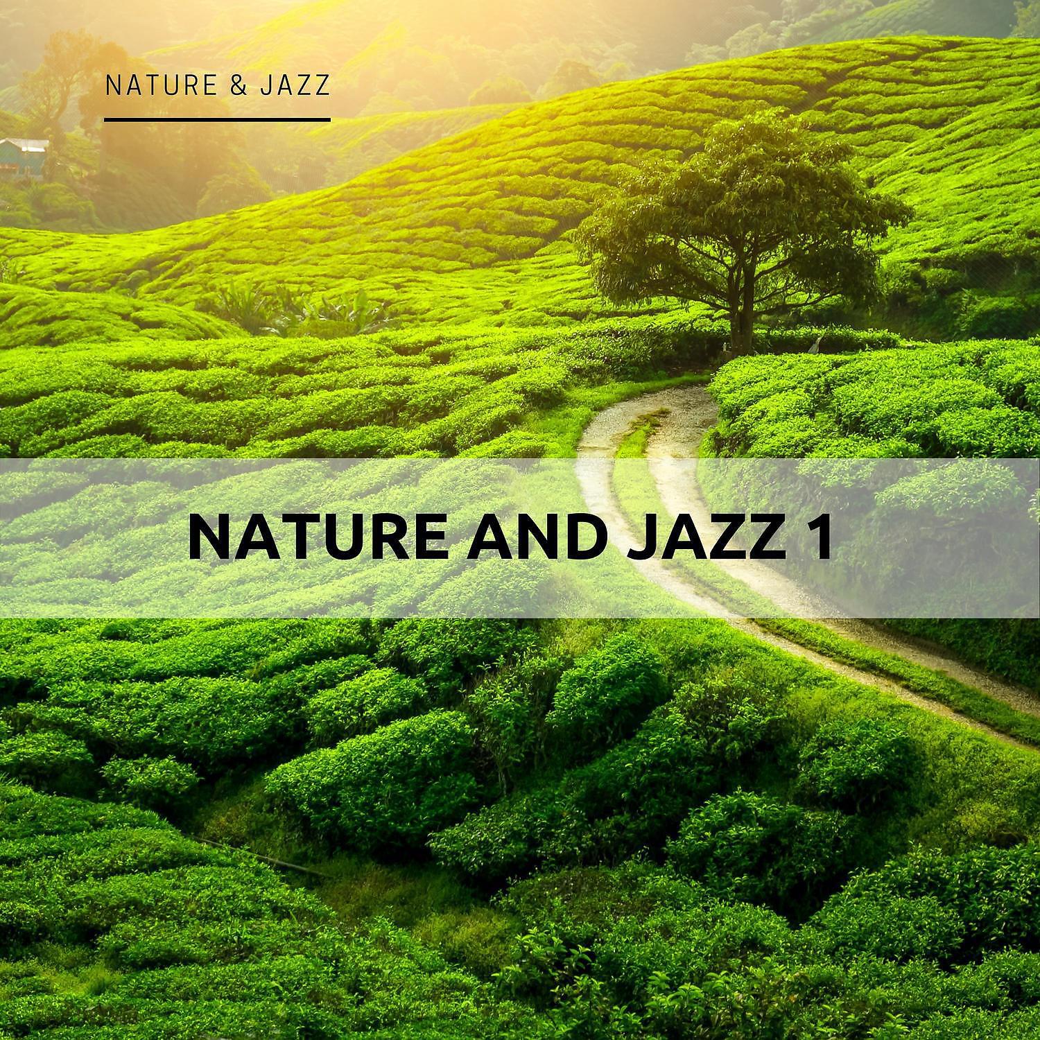 Nature & Jazz - Luxury Spa (Home Spa)