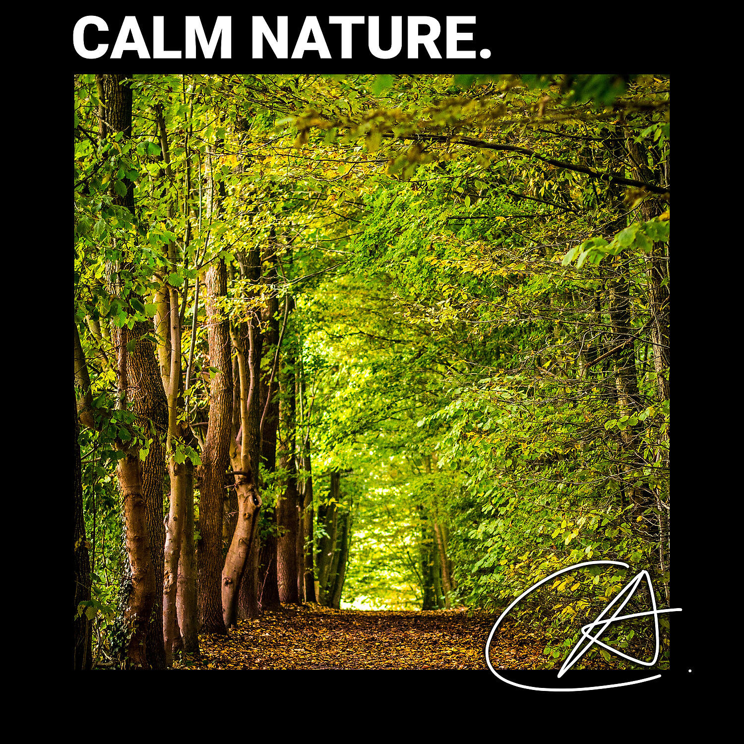 CHILL OUT - ASMR relaxing sound Crickets for deep sleep