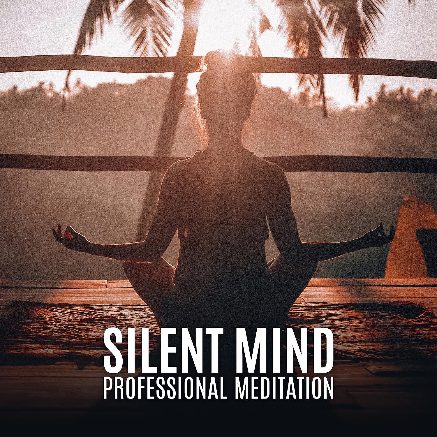 Постер альбома Silent Mind - Professional Meditation