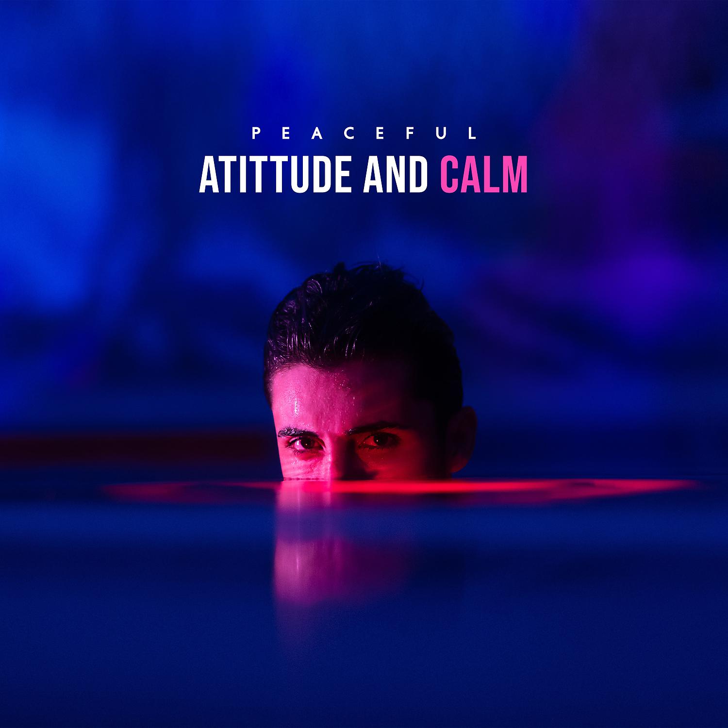 Постер альбома Peaceful Atittude and Calm