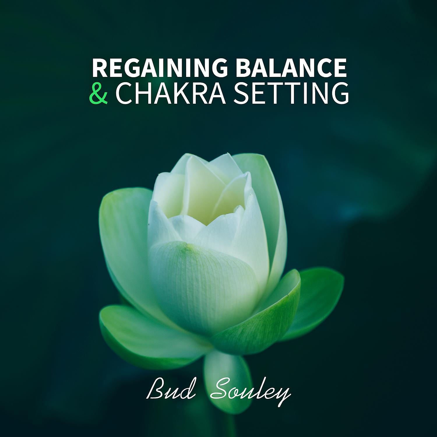 Постер альбома Regaining Balance & Chakra Setting