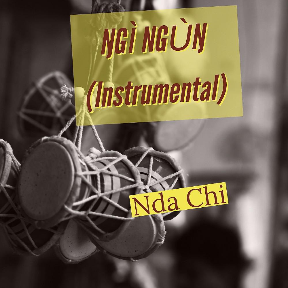 Постер альбома Ŋgì Ngùŋ (Instrumental)