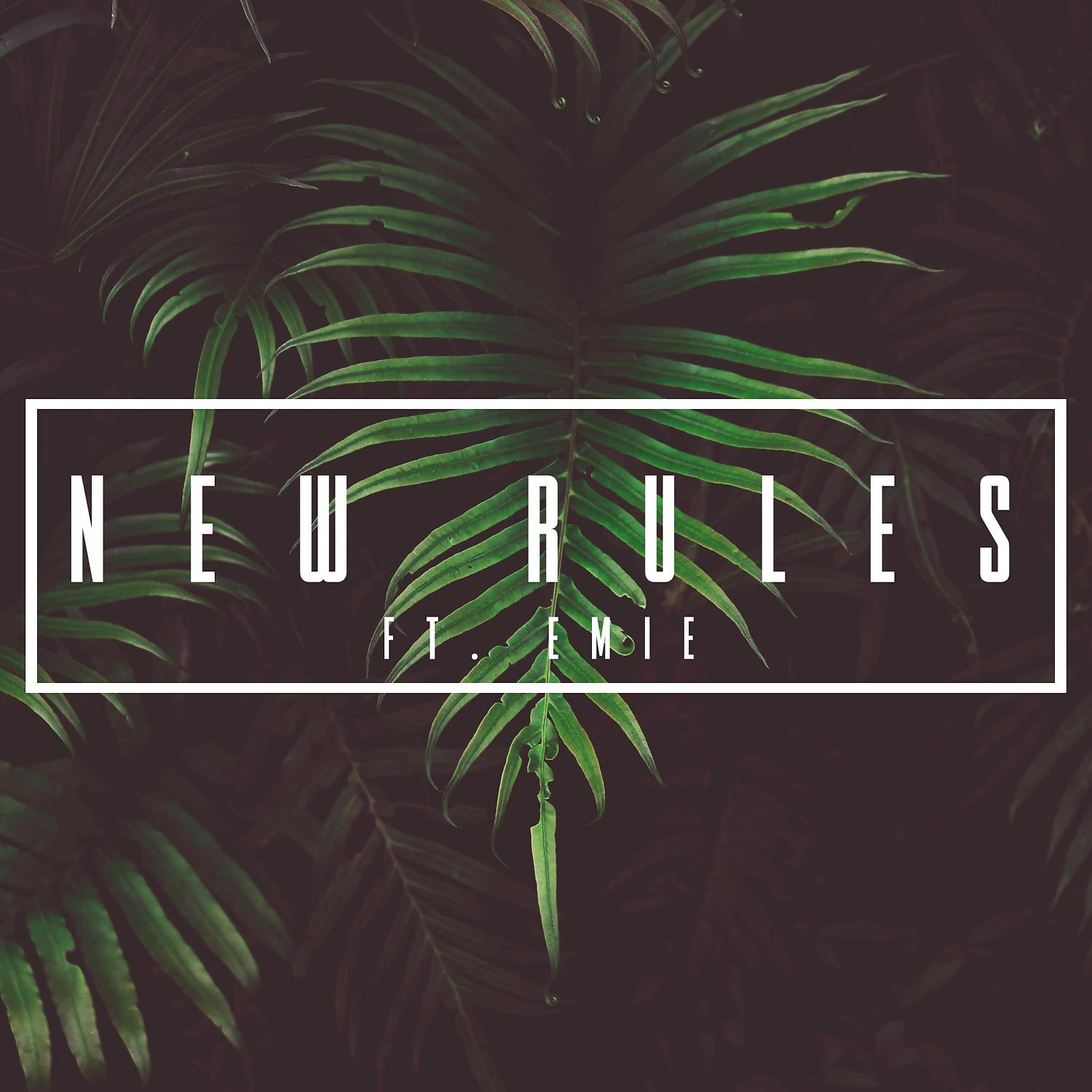 Постер альбома New Rules (feat. Emie)