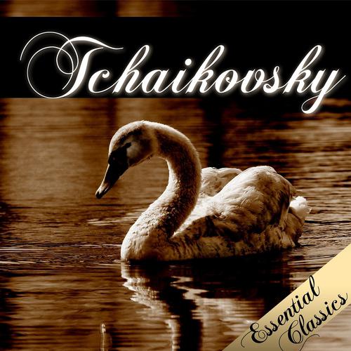 Постер альбома Piotr Ilyich Tchaikovsky