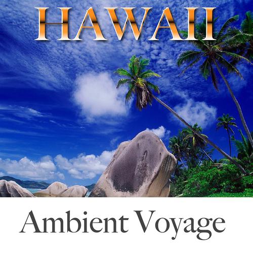 Постер альбома Ambient Voyage: Hawaii