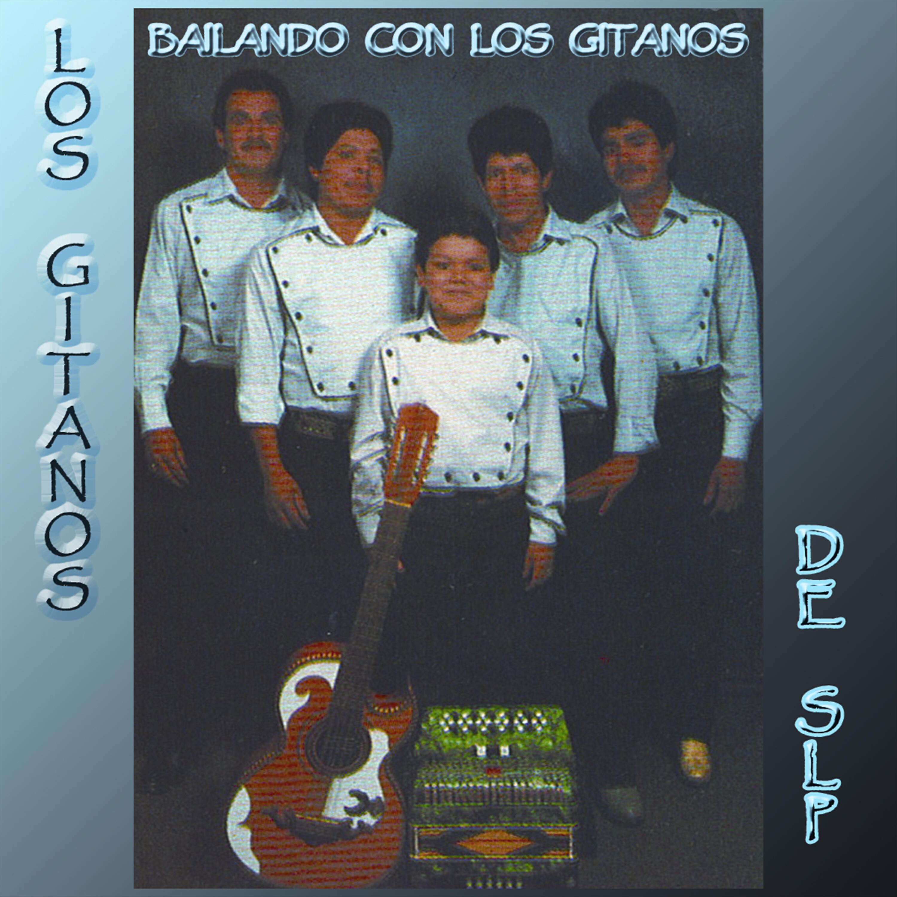 Los Gitanos De S.l.p. - La Reyna De La Cumbia