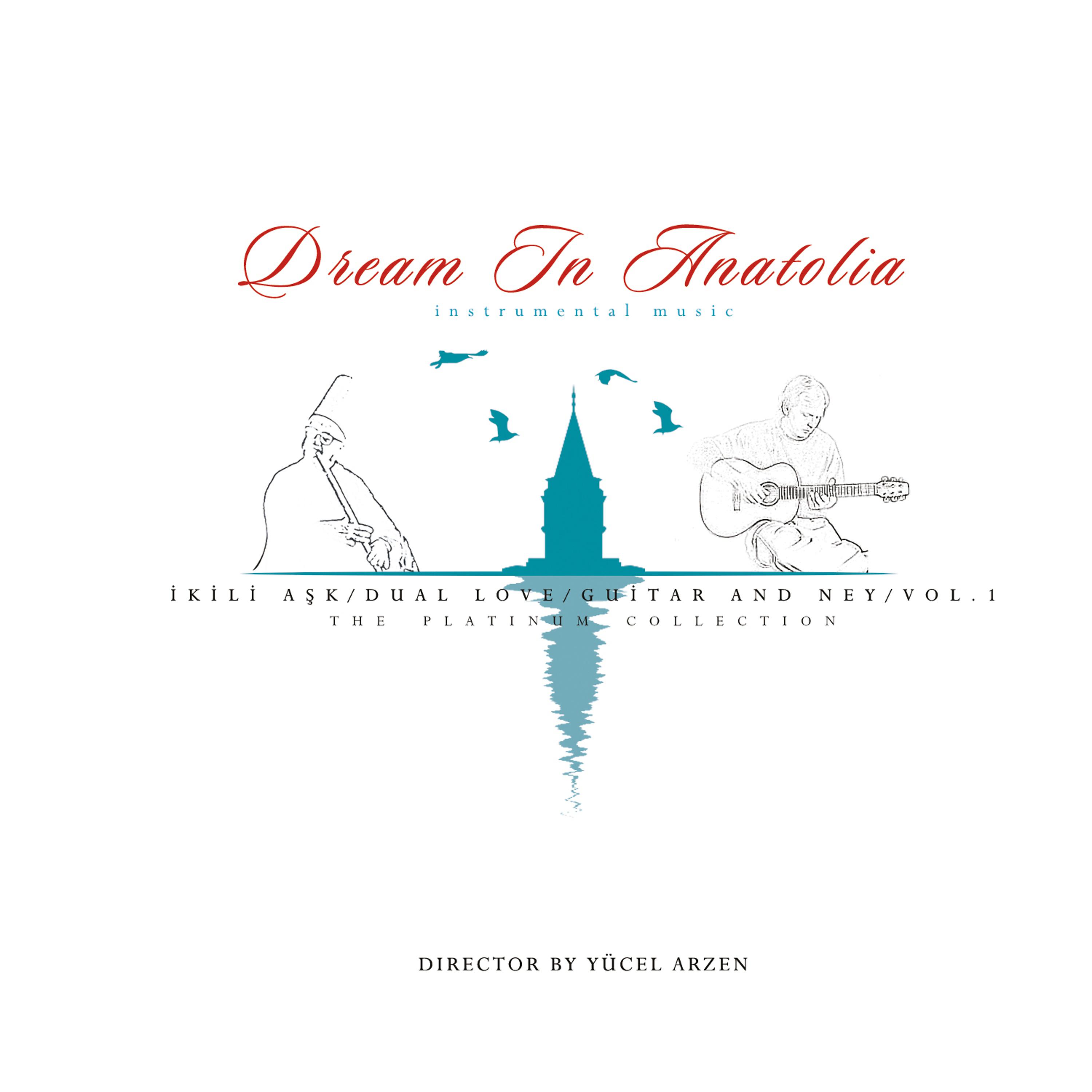 Постер альбома Dream In Anatolia