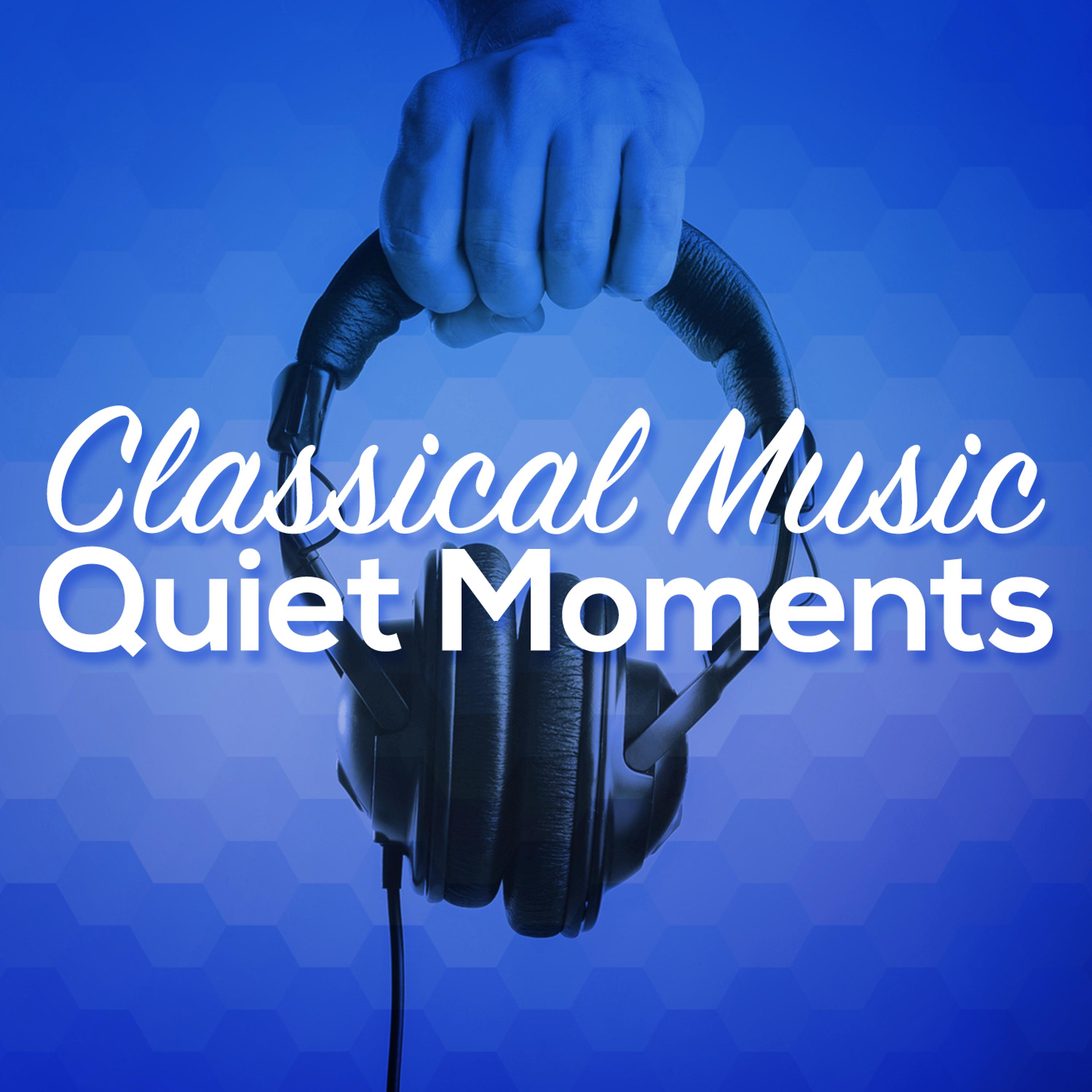 Постер альбома Classical Music - Quiet Moments