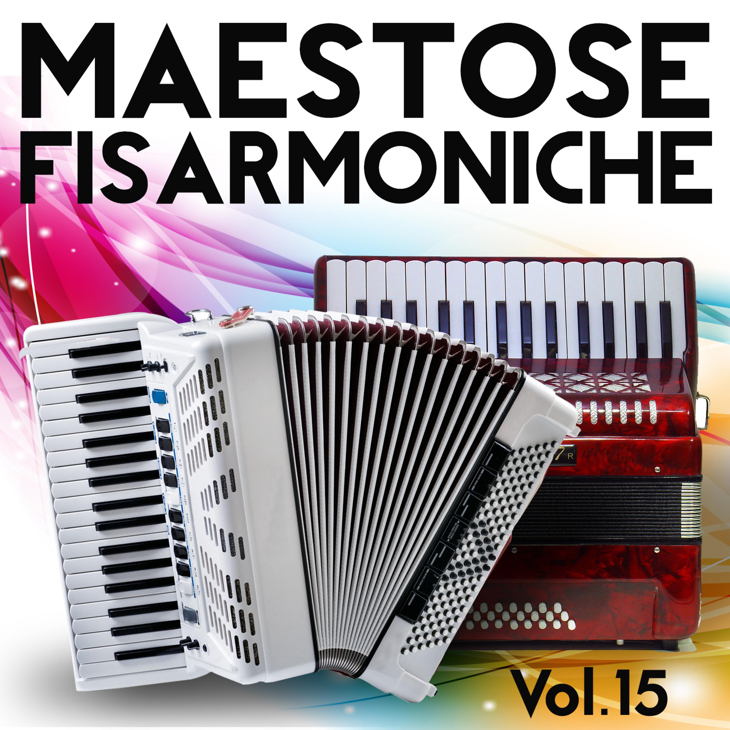 Постер альбома Maestose Fisarmoniche Vol. 15