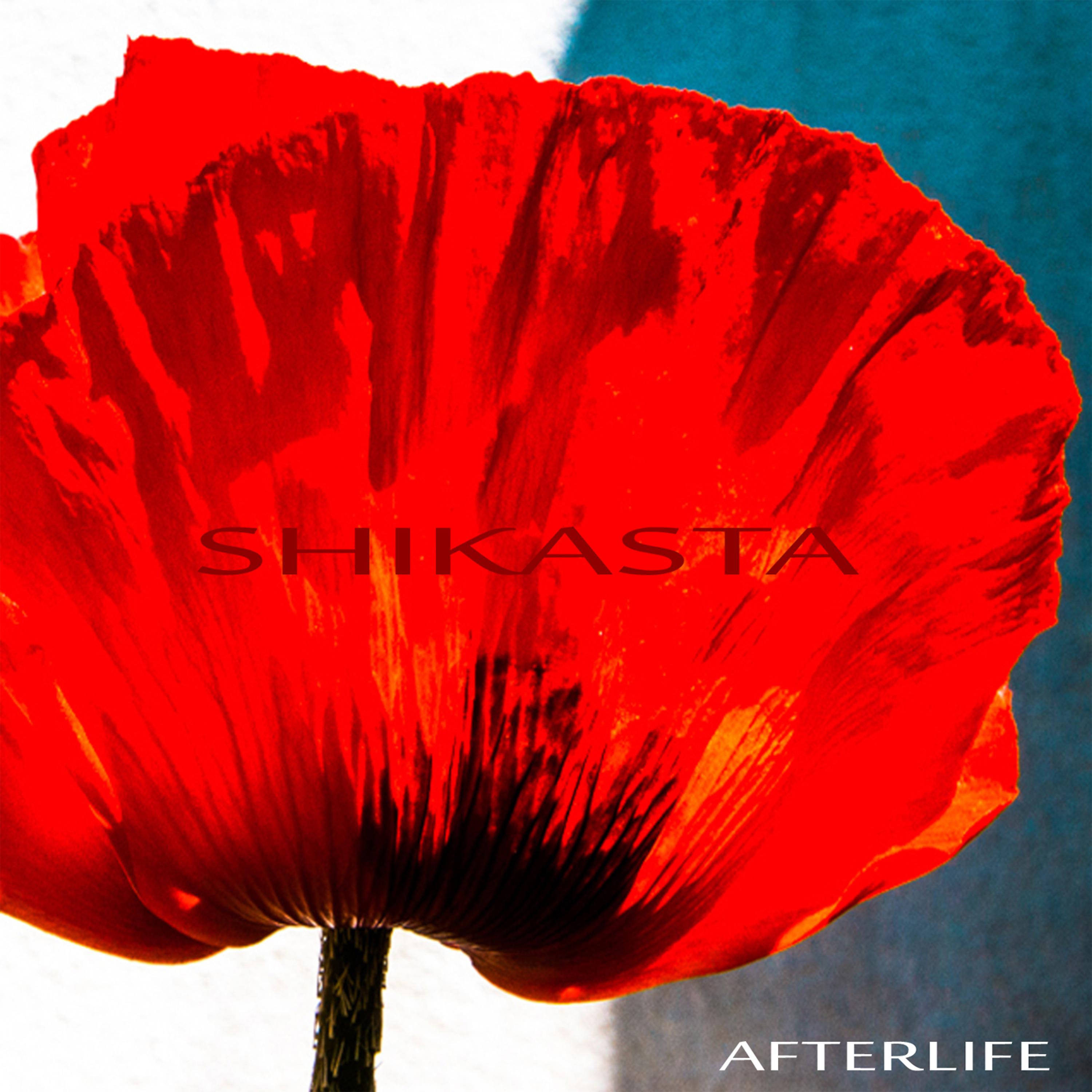 Постер альбома Shikasta