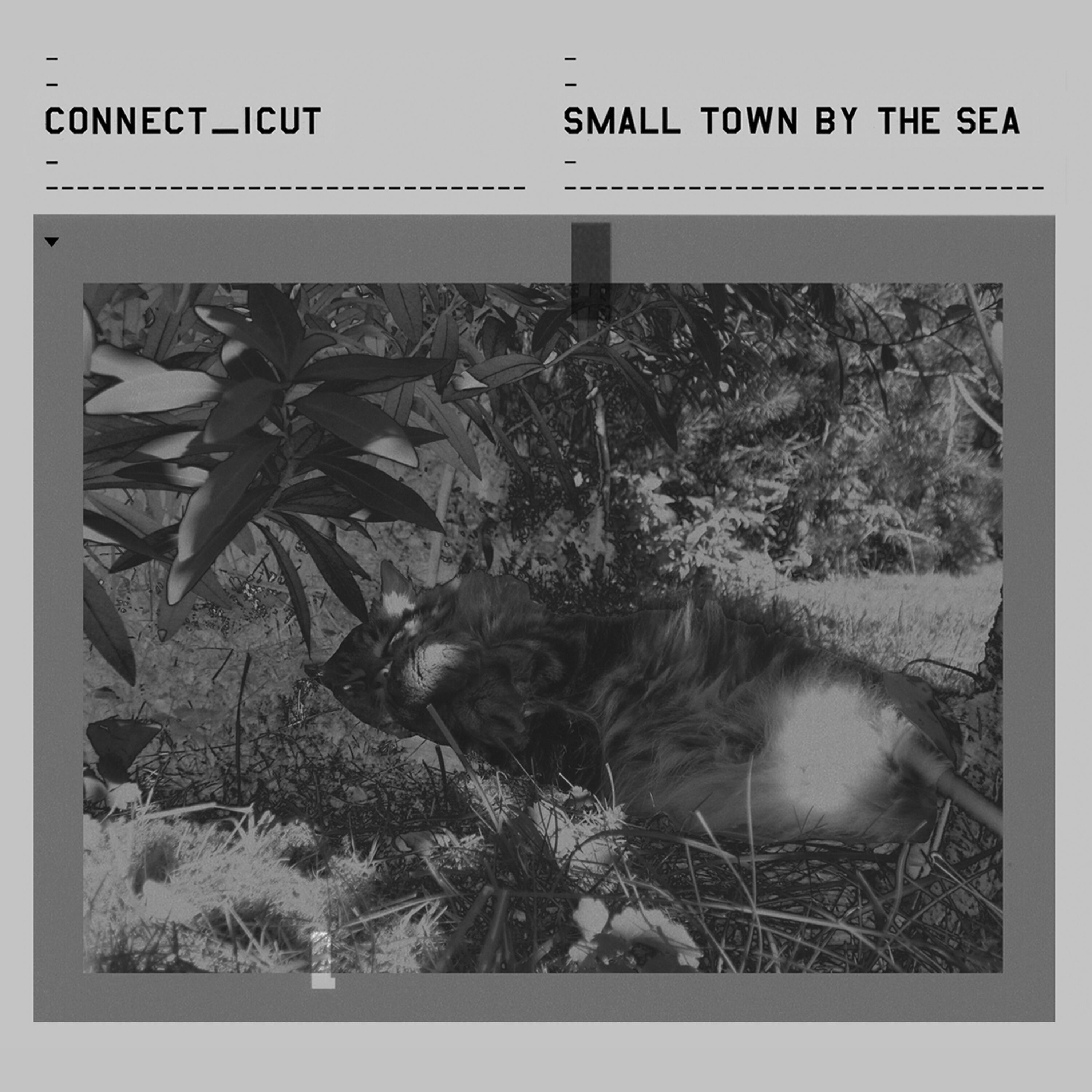 connect_icut - Tennis Players