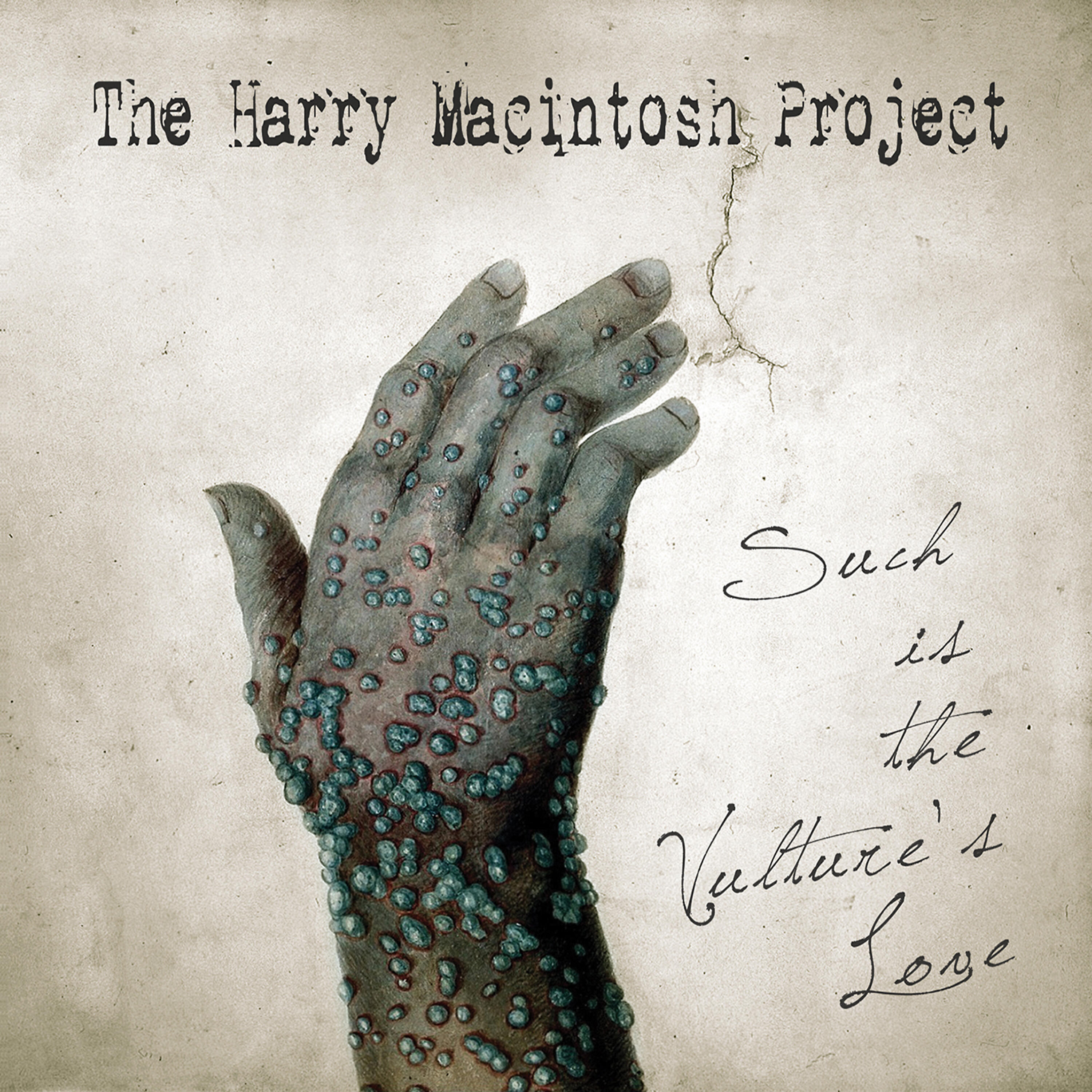 The Harry Macintosh Project - And This Cat