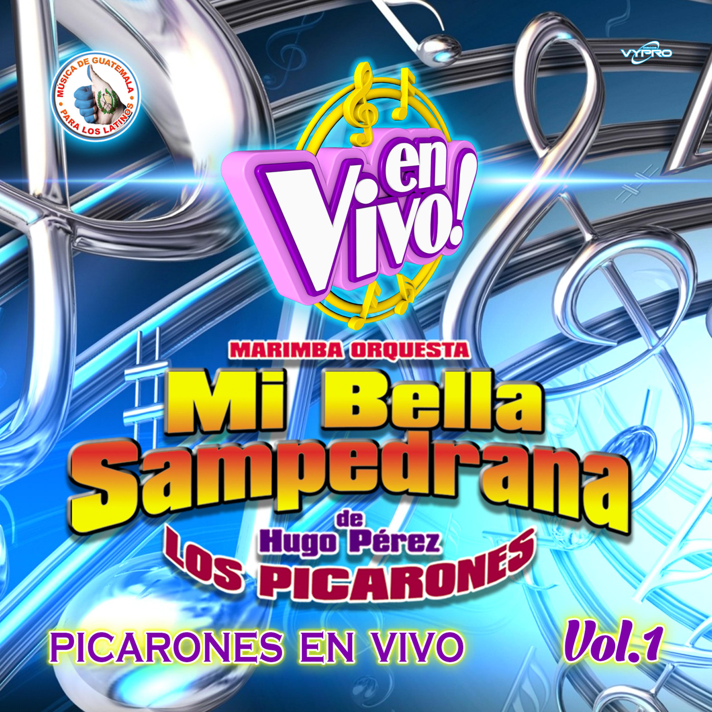 Постер альбома Picarones en Vivo Vol.1. Música de Guatemala para los Latinos (En Vivo)