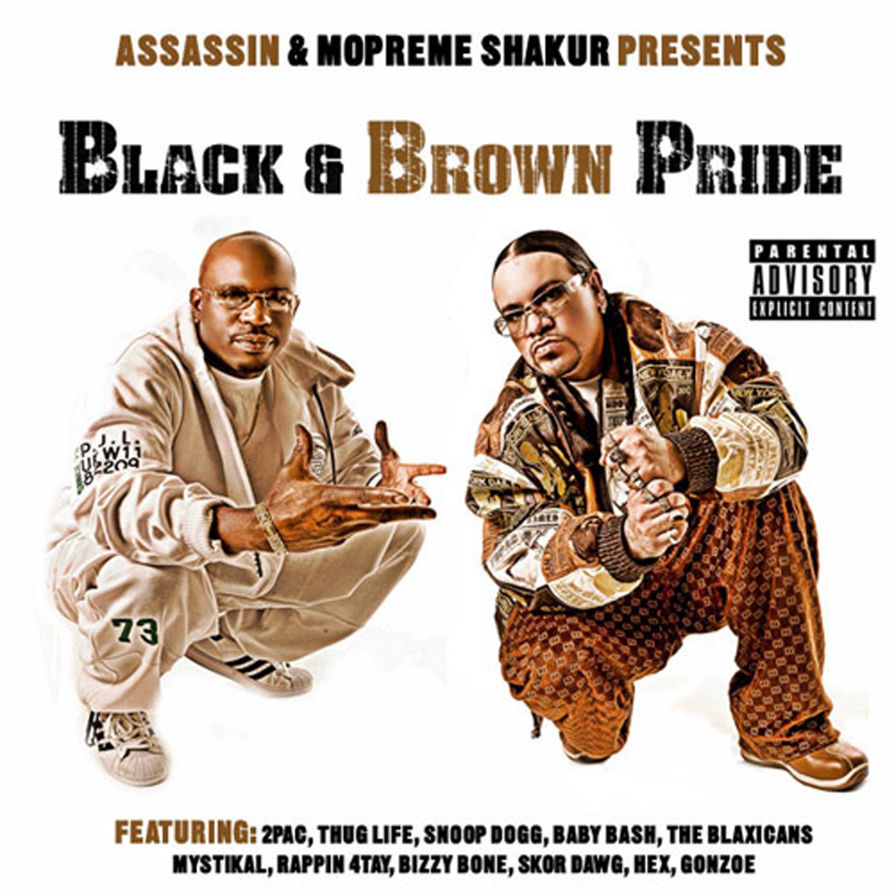 Постер альбома Black & Brown Pride