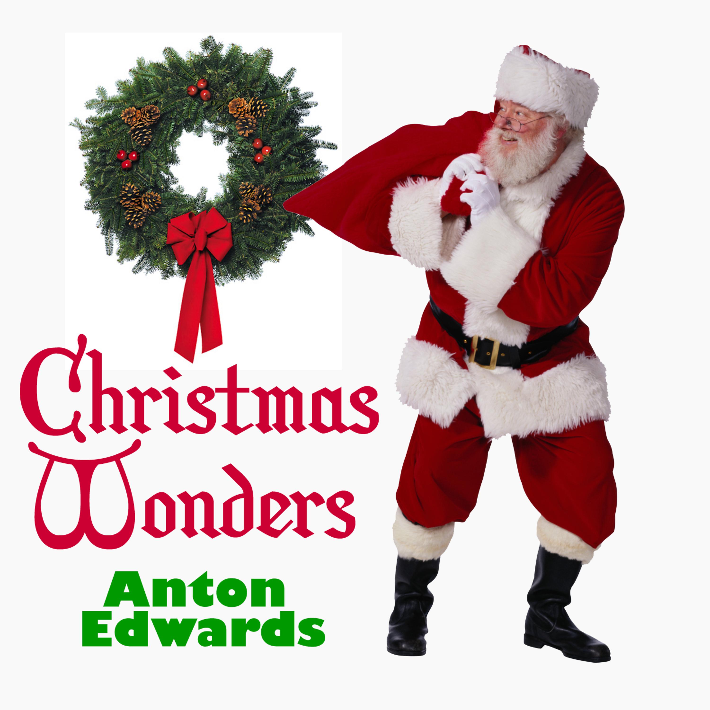 Постер альбома Christmas Wonders