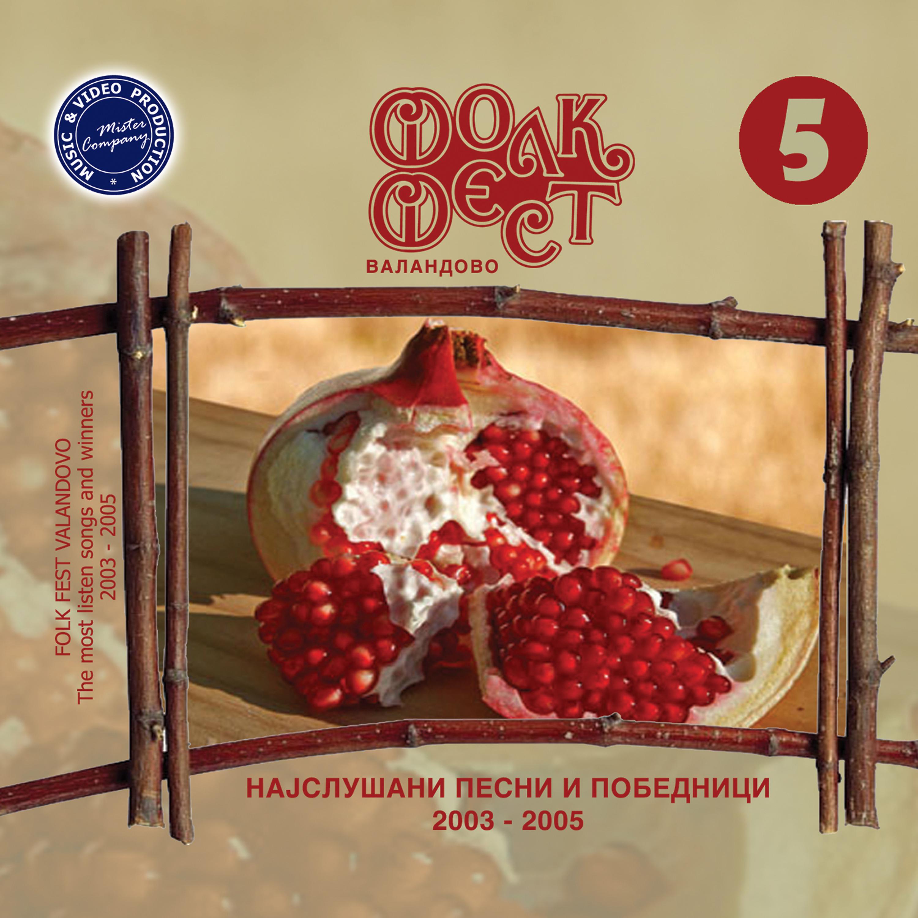 Постер альбома Folk Fest Valandovo, Vol. 5 (2003-2005)