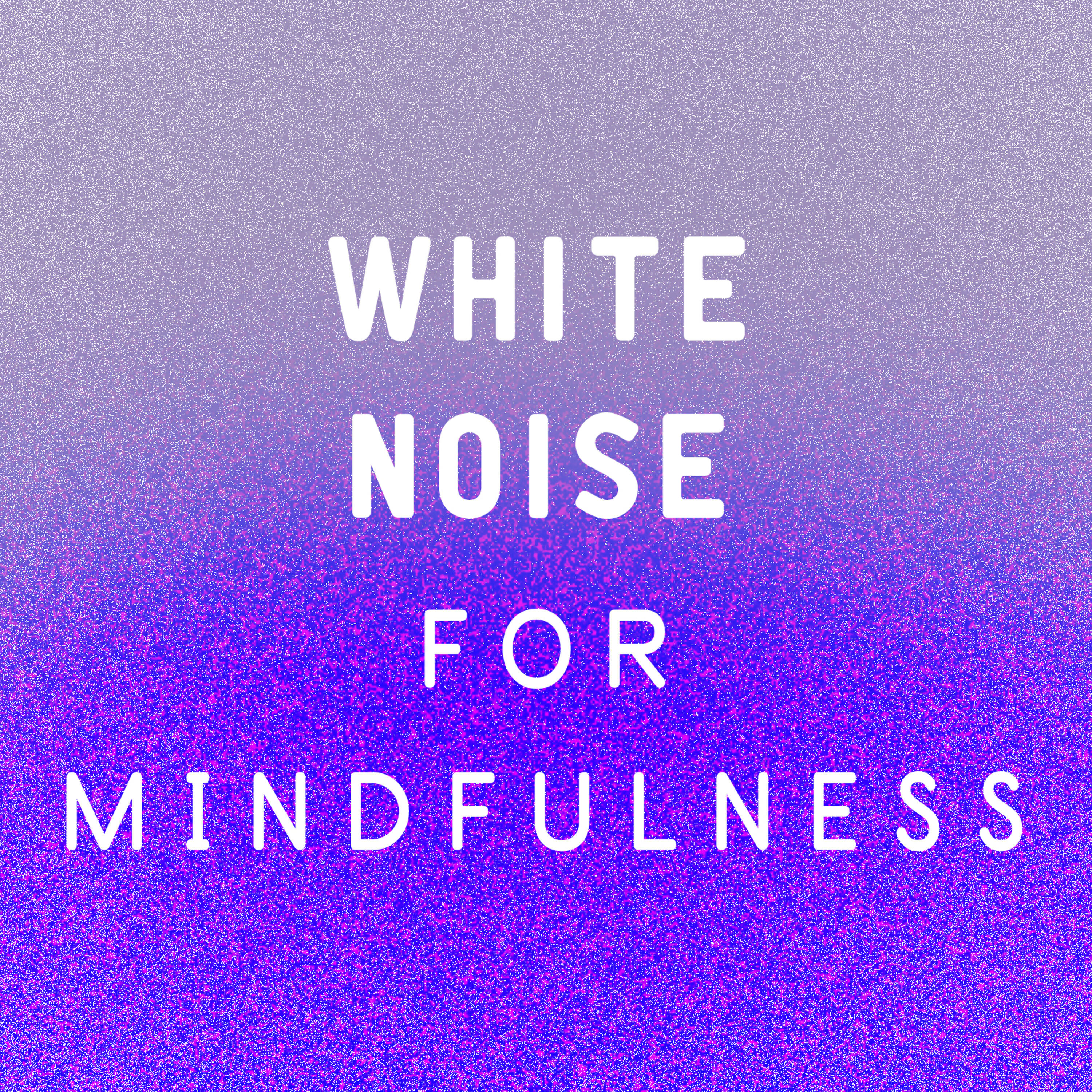 The Field Recording Collective - White Noise: Rainy Day Falls