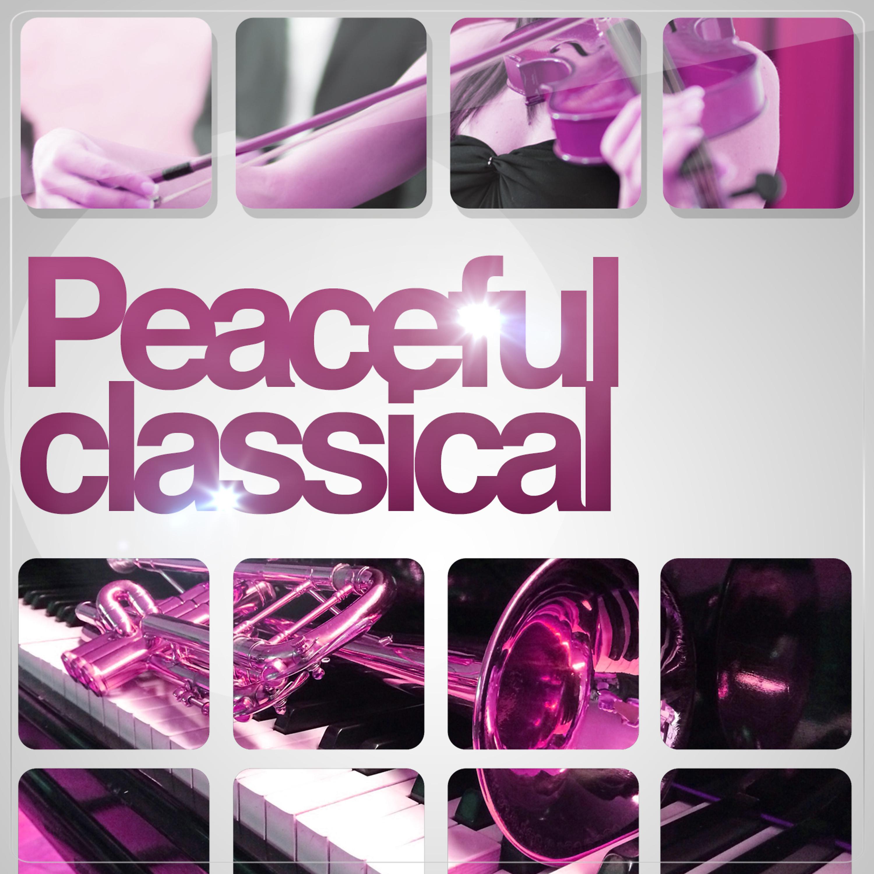 Постер альбома Peaceful Classical