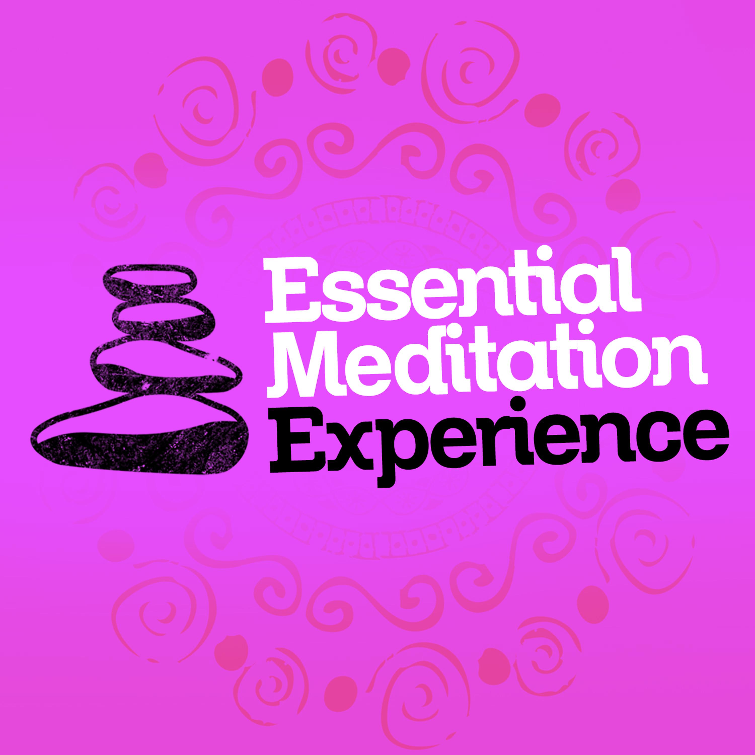 Постер альбома Essential Meditation Experience