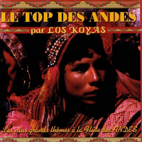 Постер альбома Le top des Andes