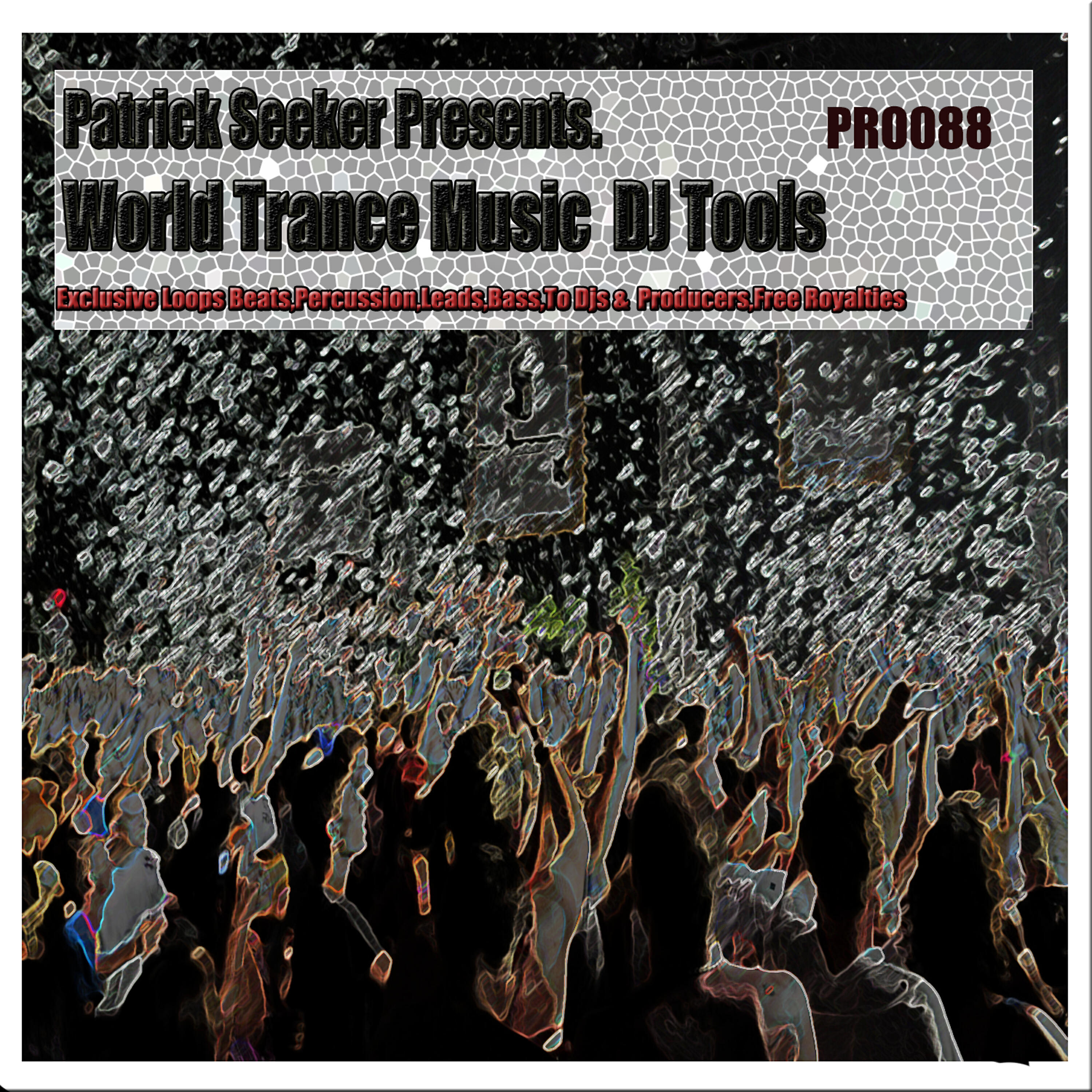 Patrick Seeker - World Trance Music Percu 128 (Tool 3)