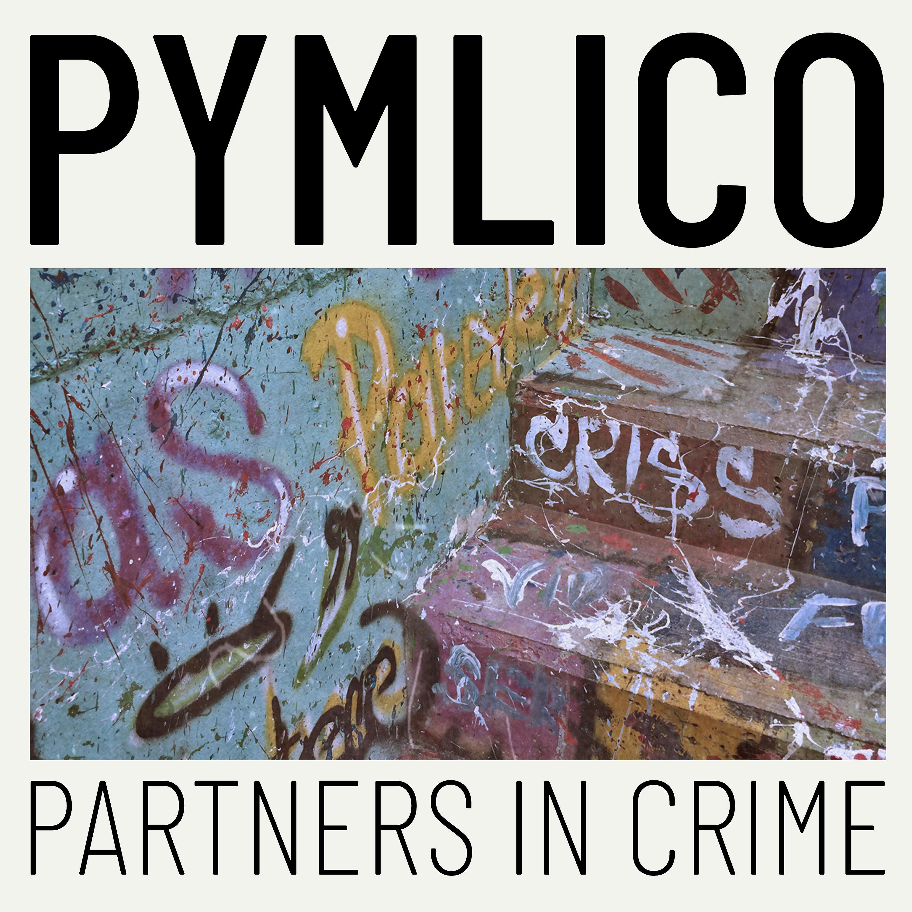 Постер альбома Partners in Crime