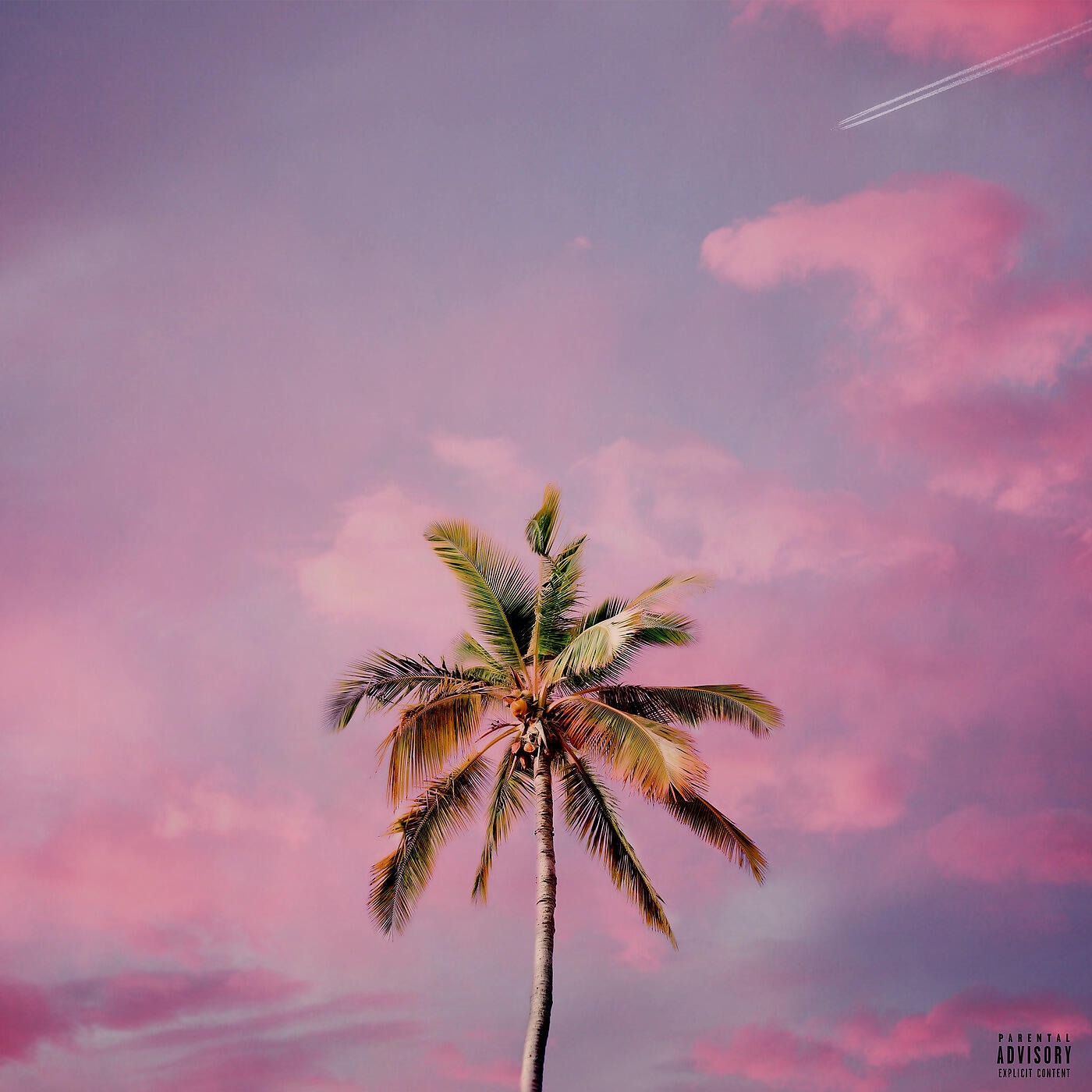 Jboz - La Jolla