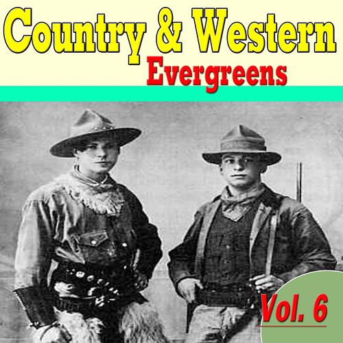Постер альбома Country & Western Evergreens, Vol. 6