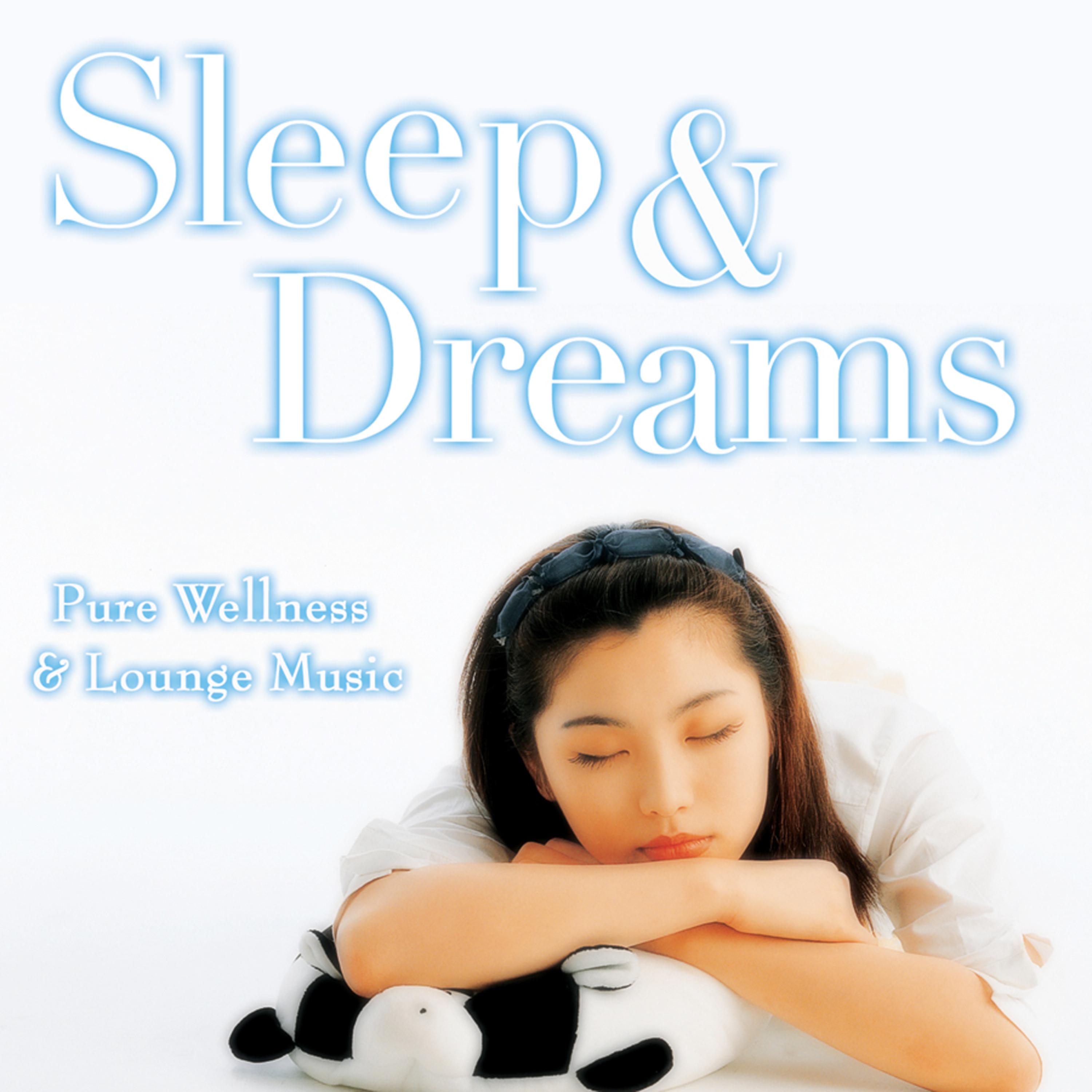 Постер альбома Pure Wellness & Lounge Music - Sleep & Dreams