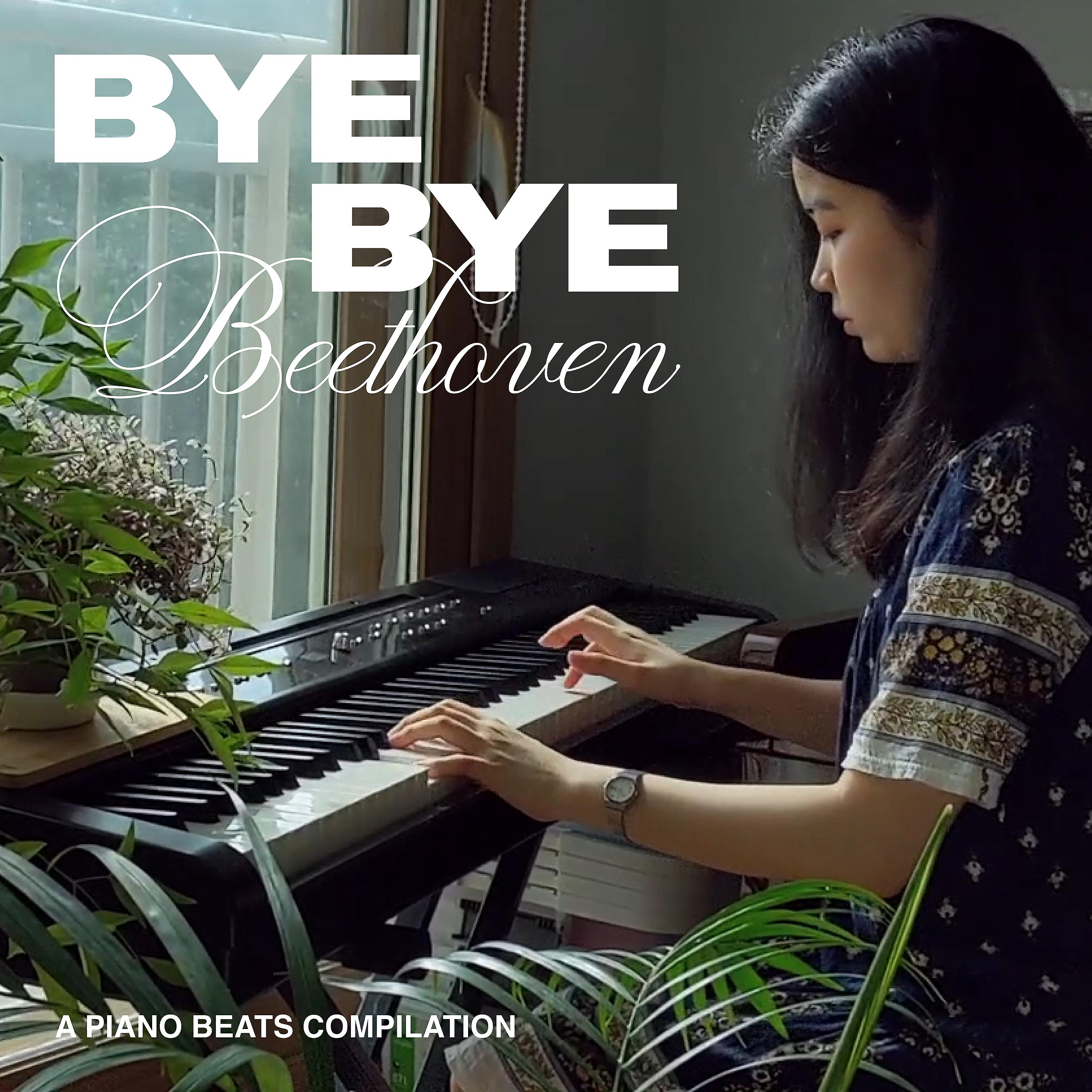 Постер альбома Bye Bye Beethoven
