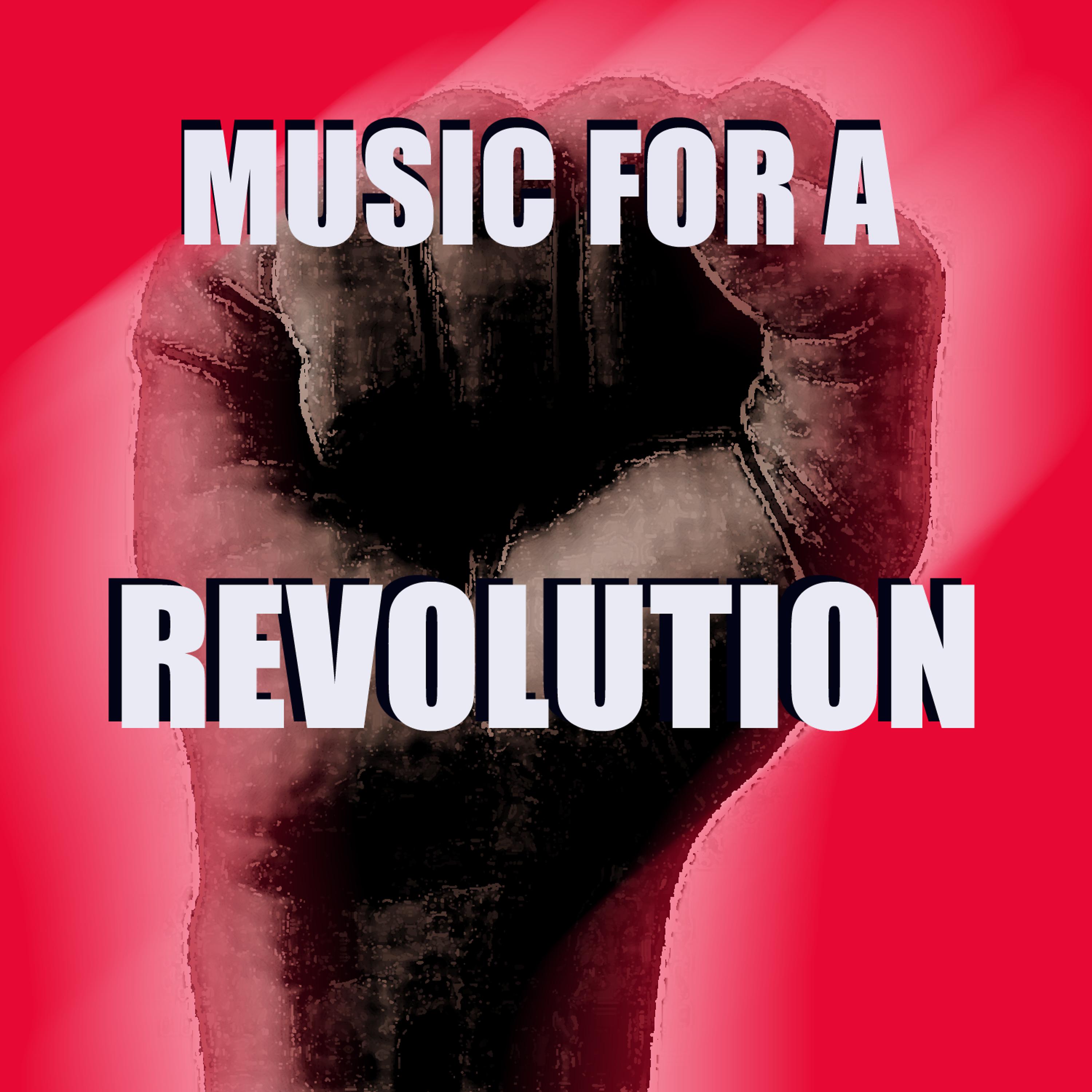 Постер альбома Songs for a Revolution