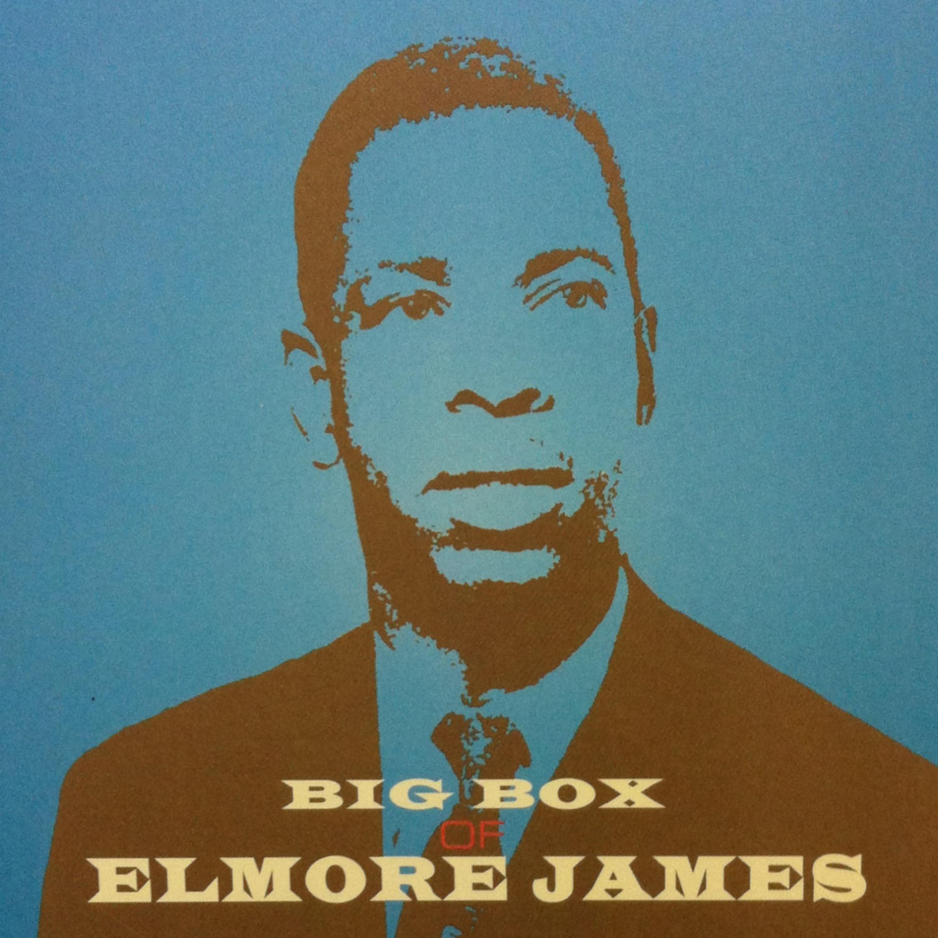 Постер альбома Big Box of Elmore James Vol. 5