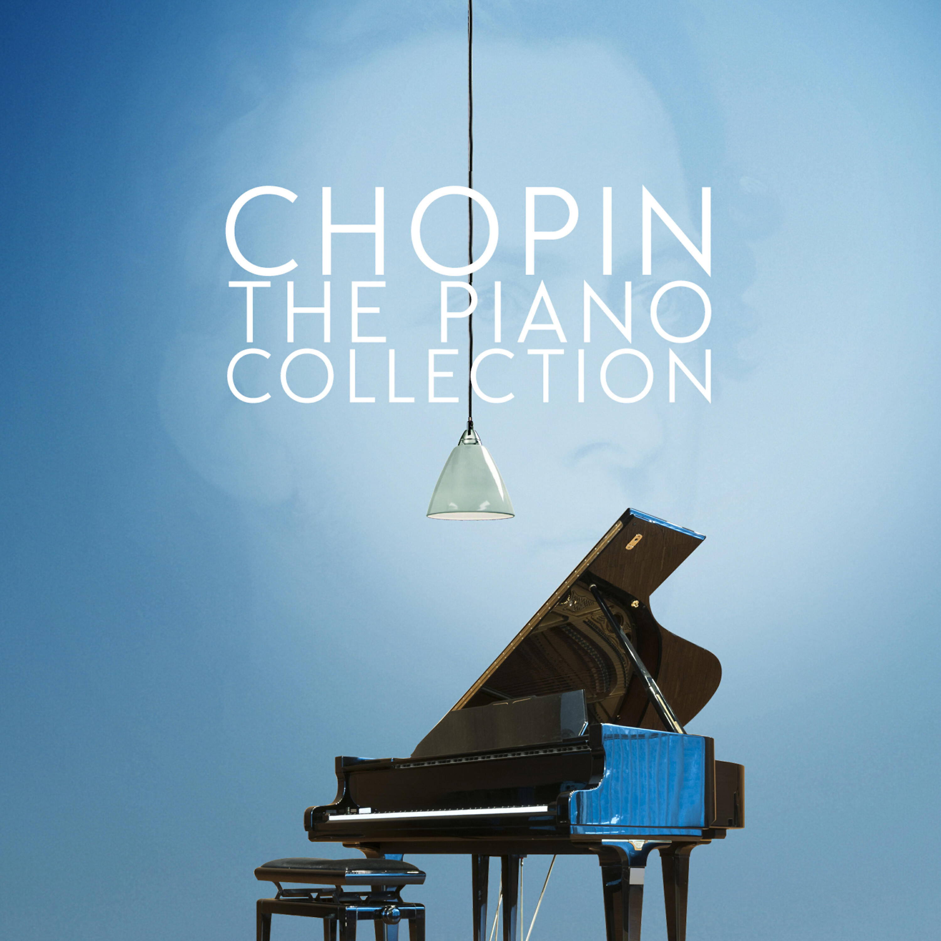 Peter Schmalfuss - Impromptu in C-Sharp Major, Op. 66, 