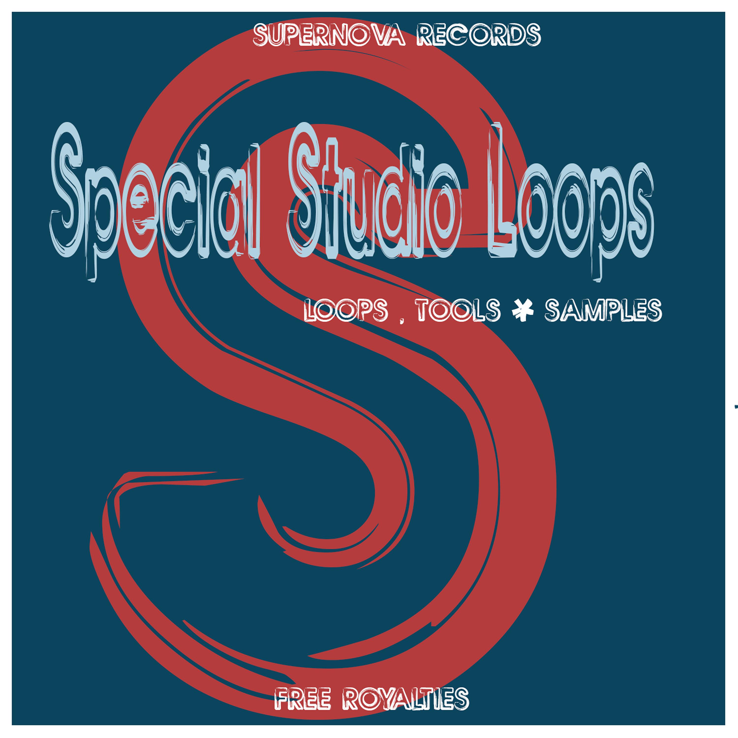 Постер альбома Special Studio‬ Loops