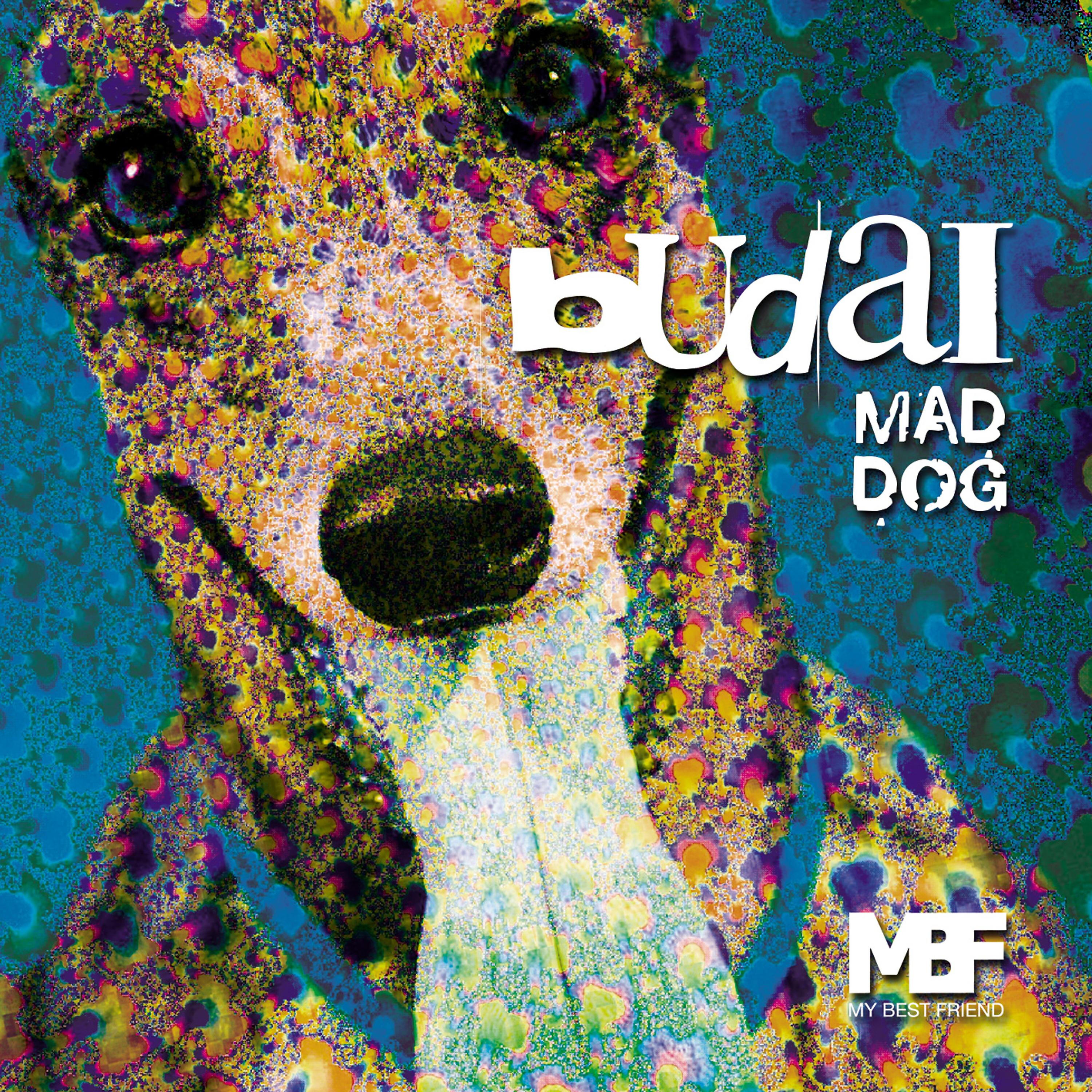 Budai - Easy Night (Original Mix)