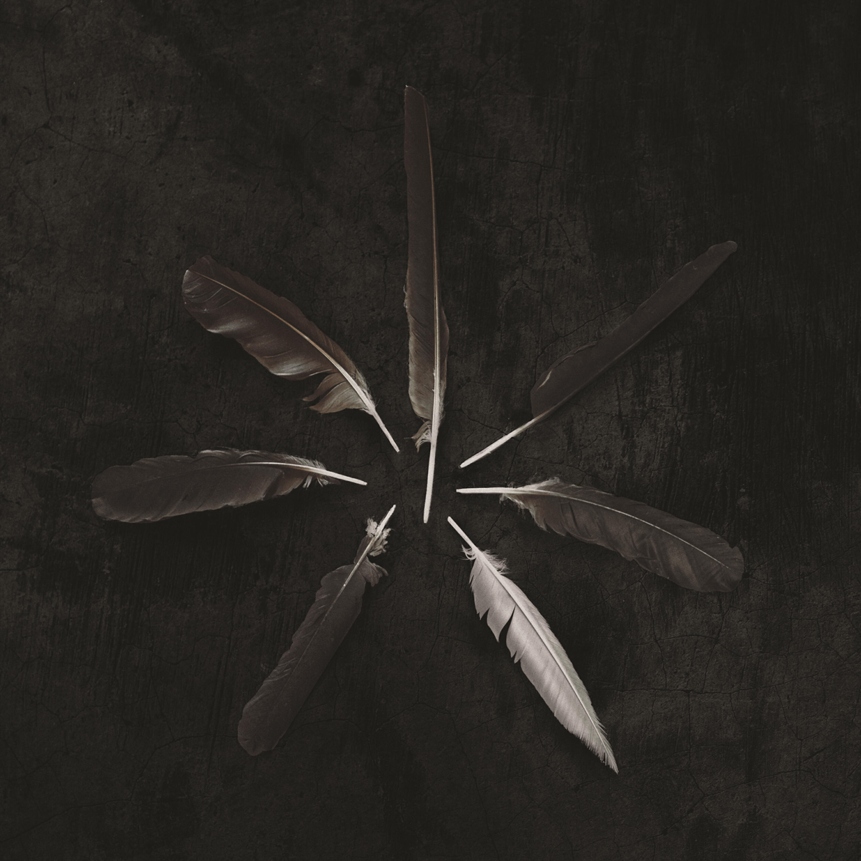 CASPIAN - Dust and Disquiet