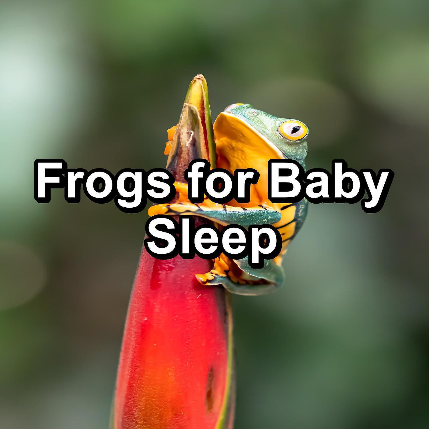 Organic Nature Sounds - Frogs Marsh Sounds