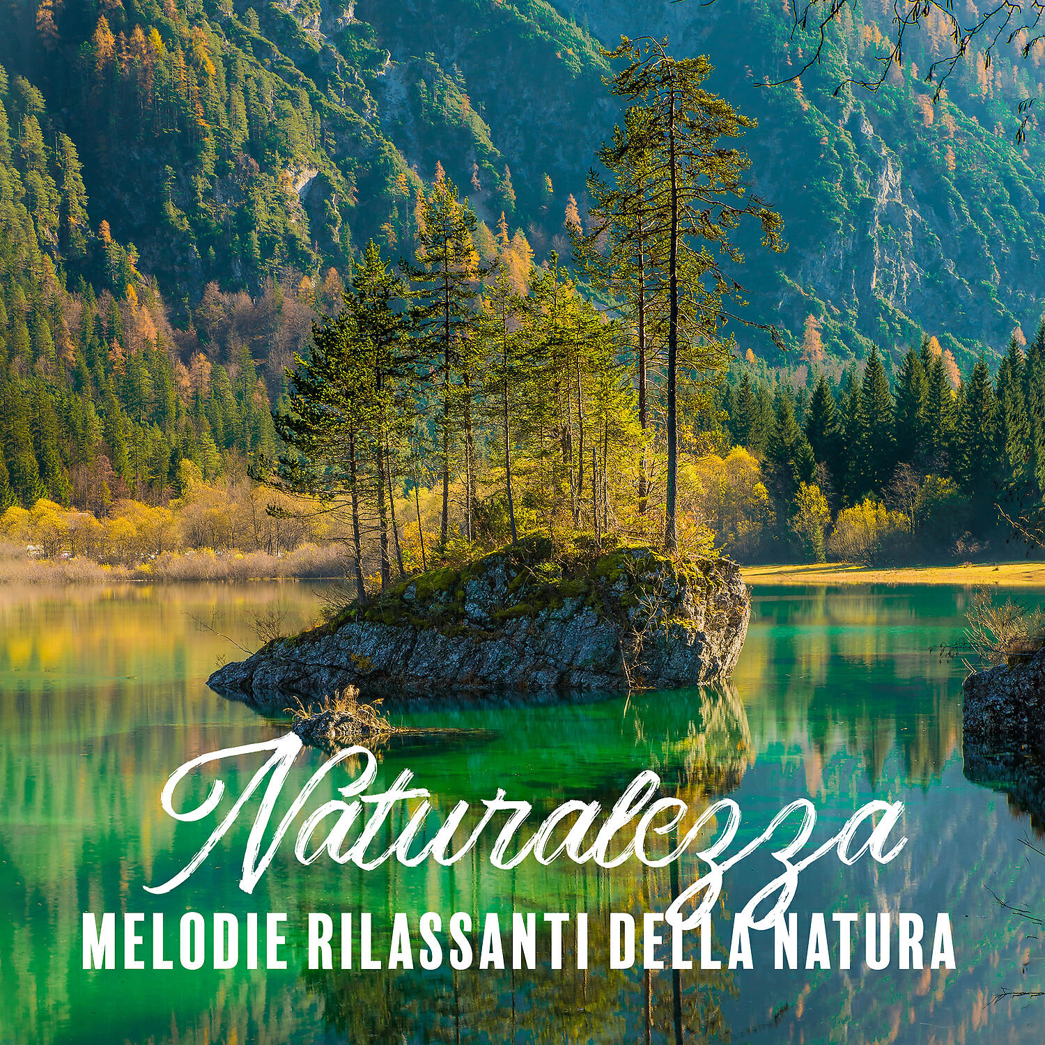Rilassati Tutto il Giorno Club - Atmosfera notturna
