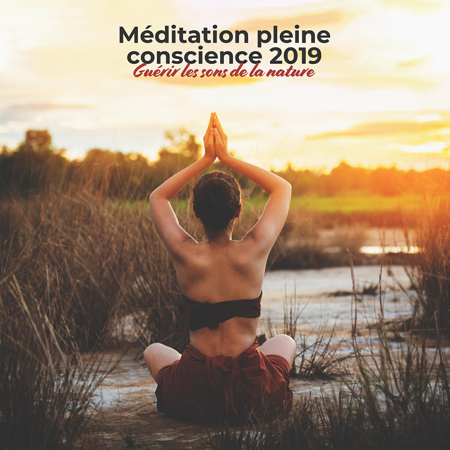 Ensemble de Musique Zen Relaxante - Massothérapie