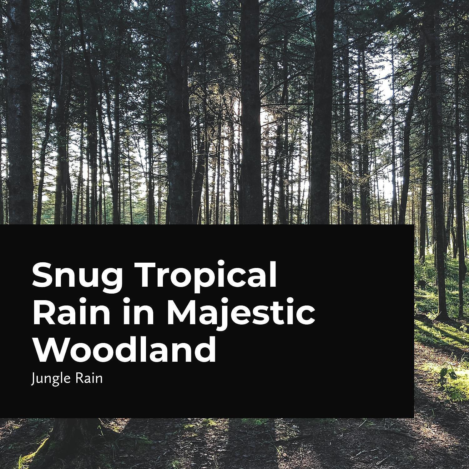 Jungle Rain - Storm in the Midst of the Woods