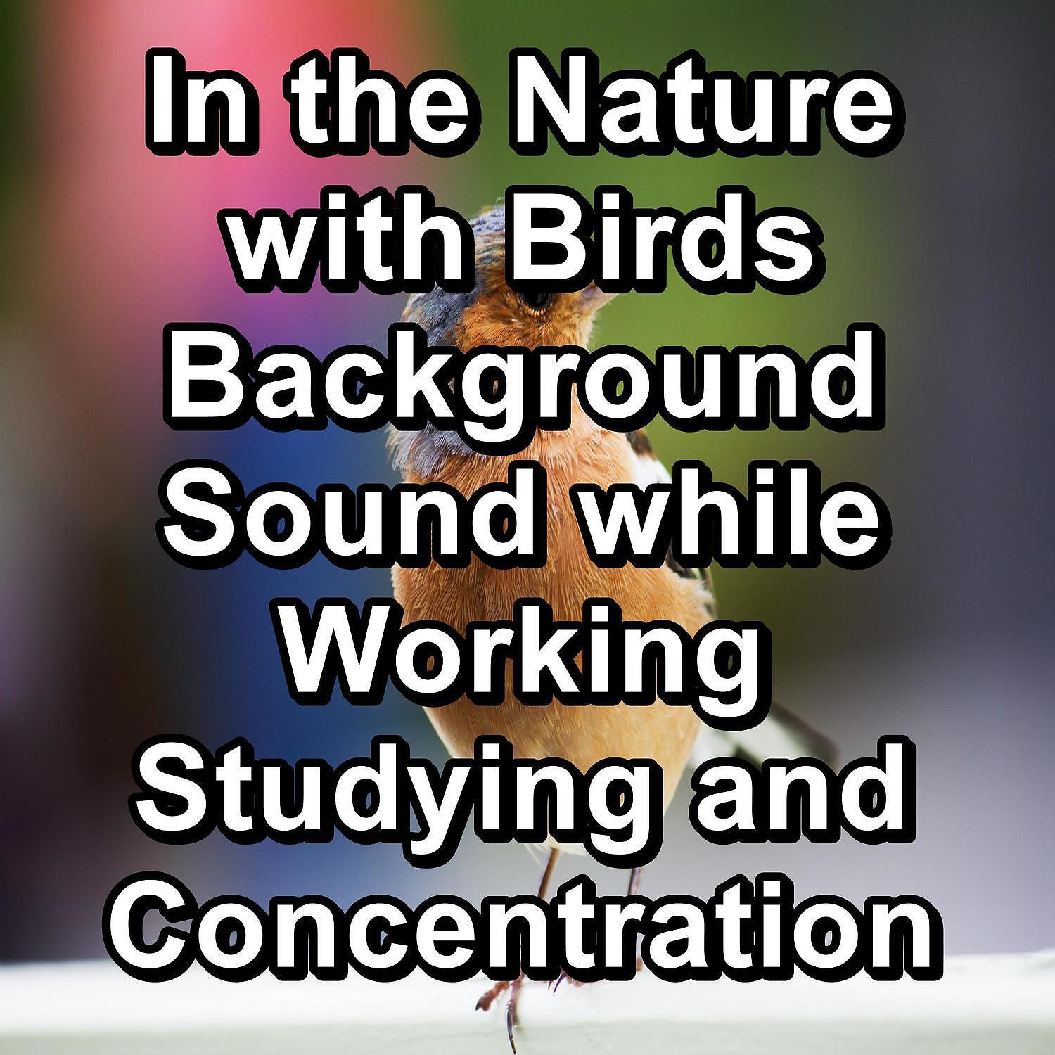 Nature Sounds for Sleep and Relaxation - Beautiful Bird Sounds Nature Sounds To Help Your Baby Relax