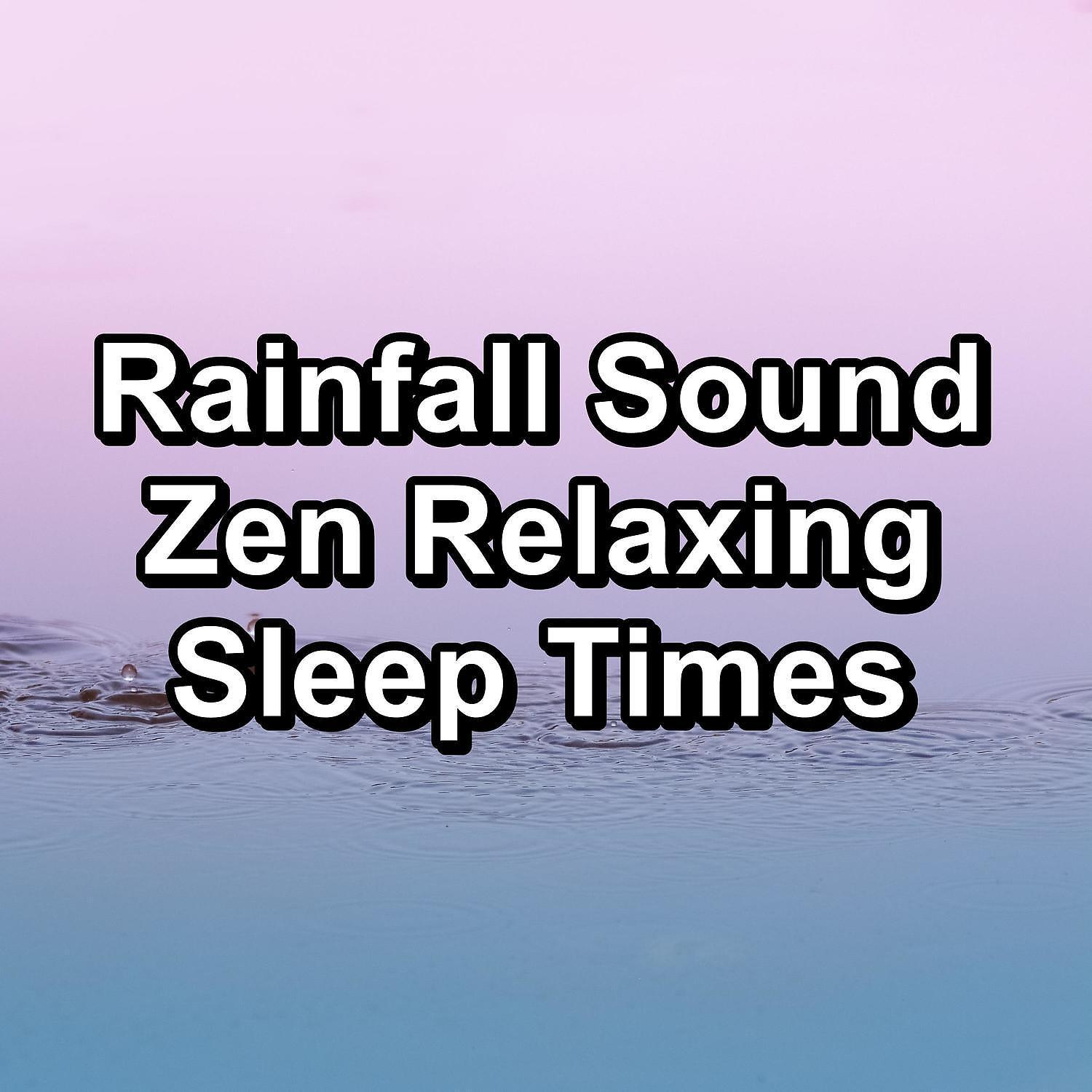Постер альбома Rainfall Sound Zen Relaxing Sleep Times