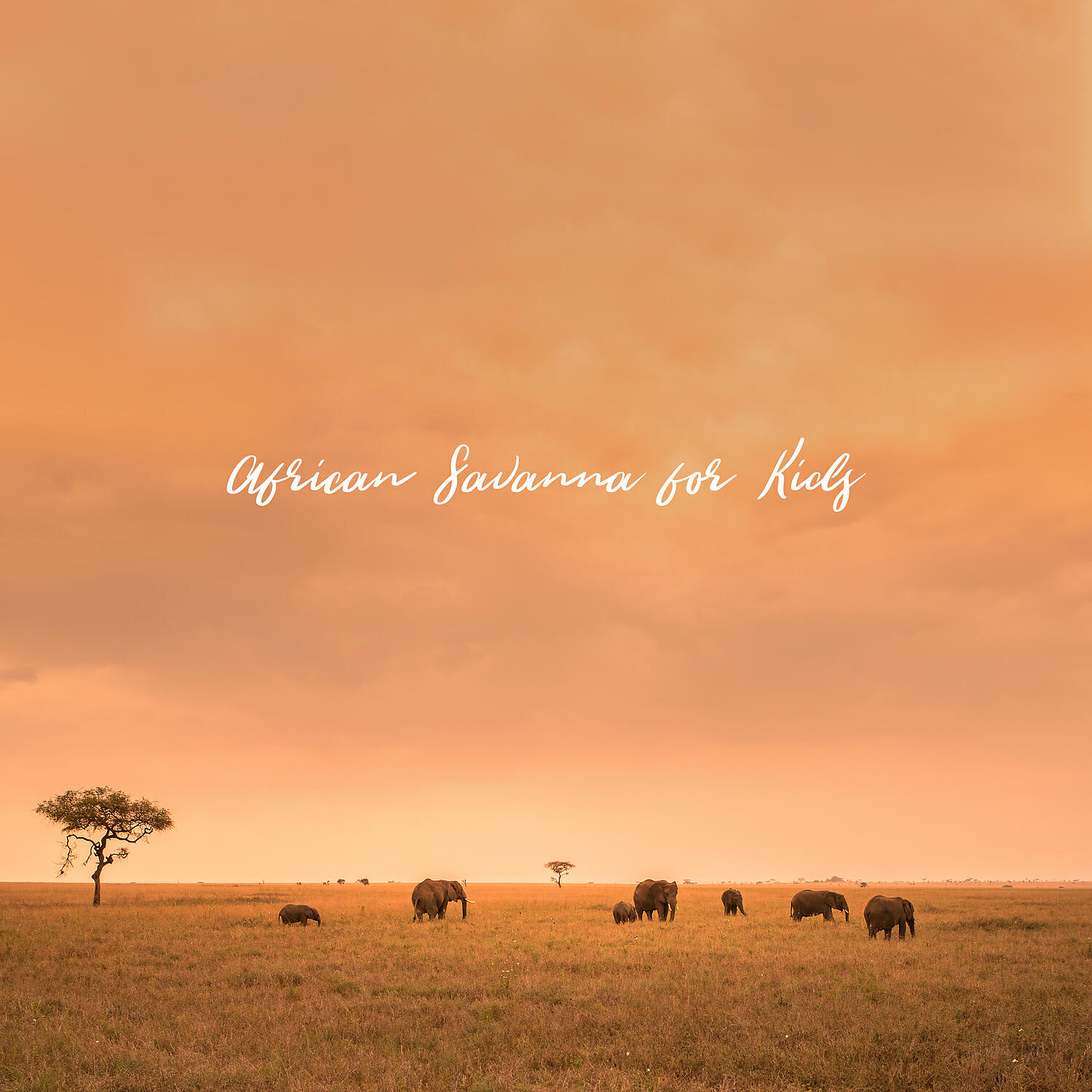 Calm Music Zone - Harmony and Serenity