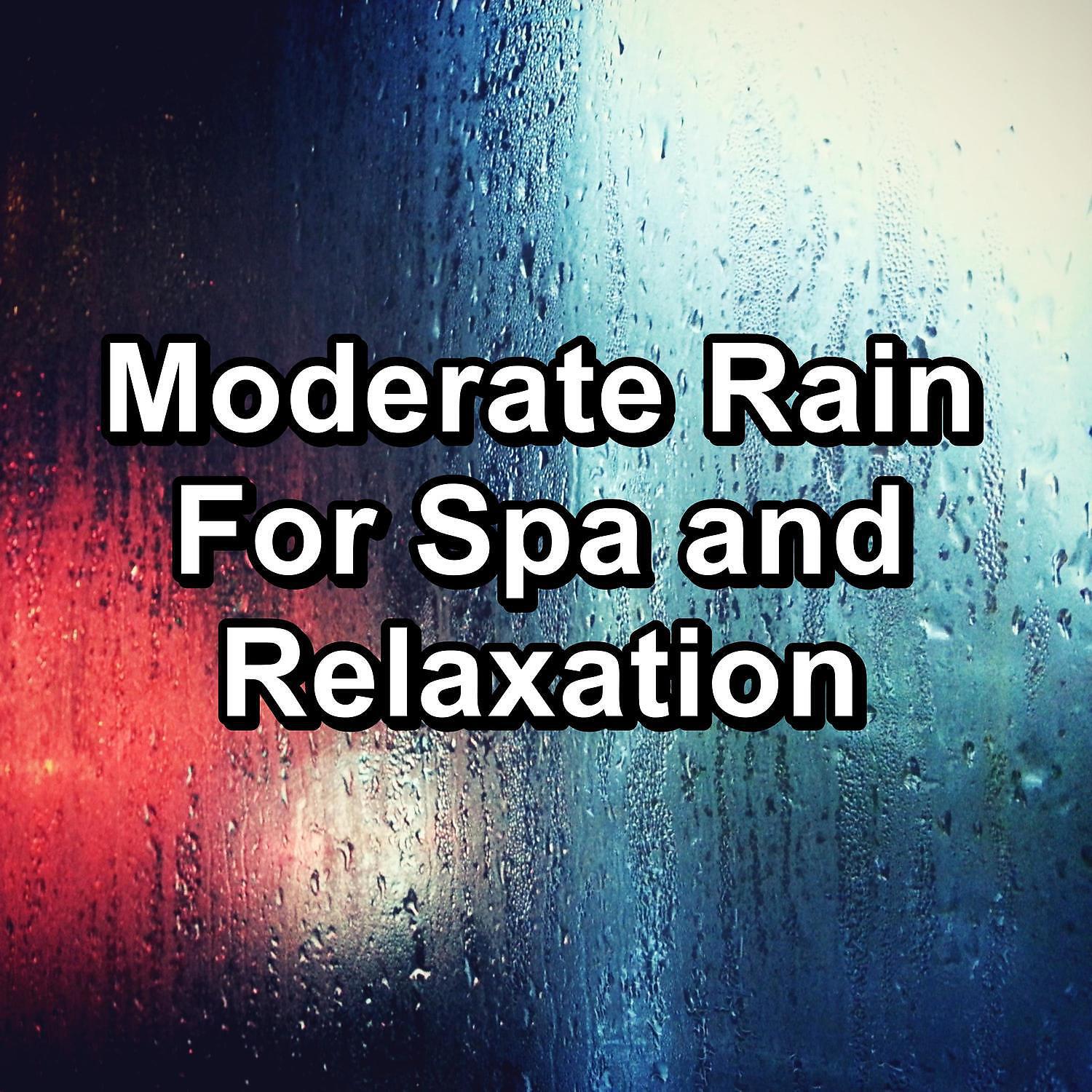Rain Sounds Sleep - Cozy Rain With Ocean Waves Pure Sounds to Help Insomnia