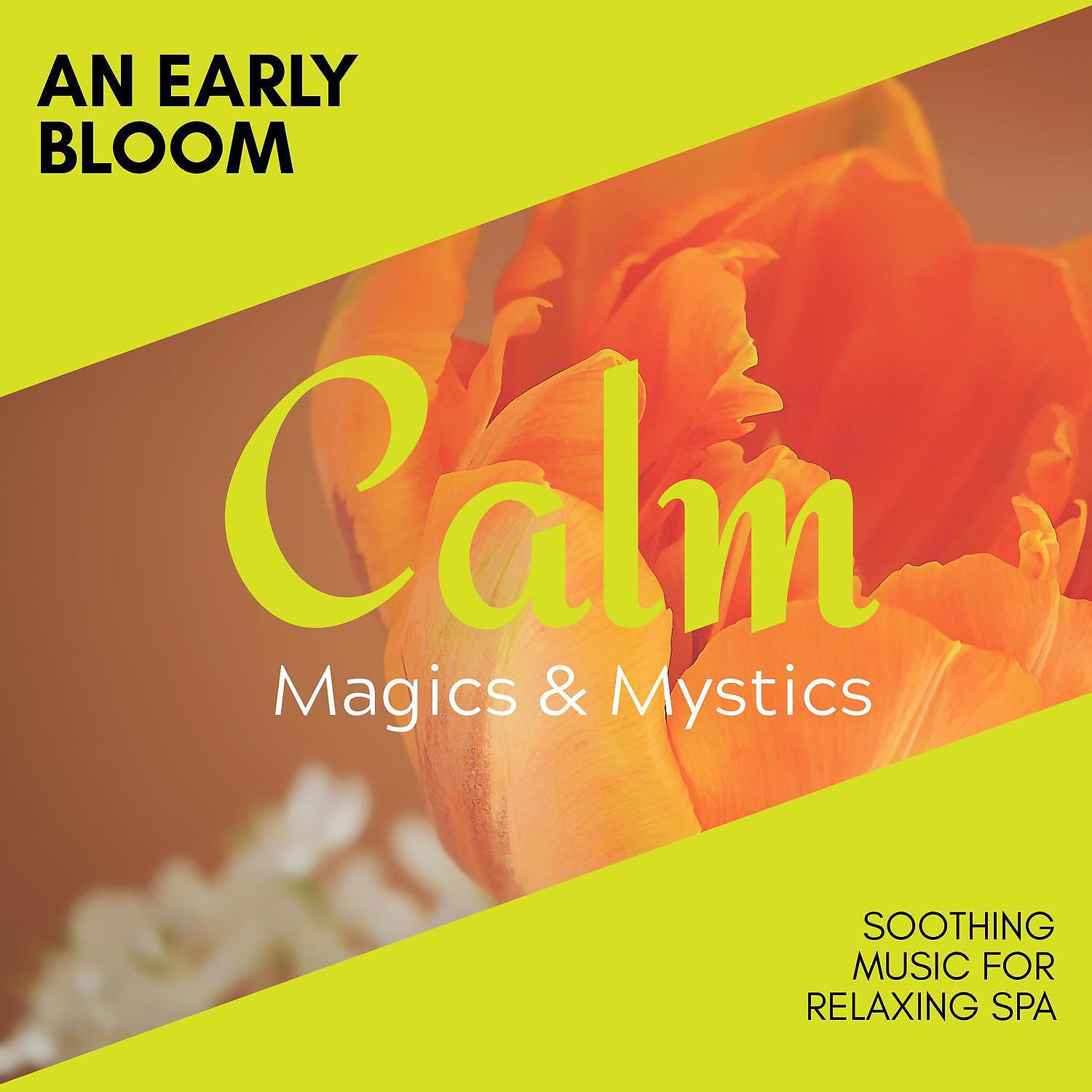 Amazing Spa Music - Asian Meditation