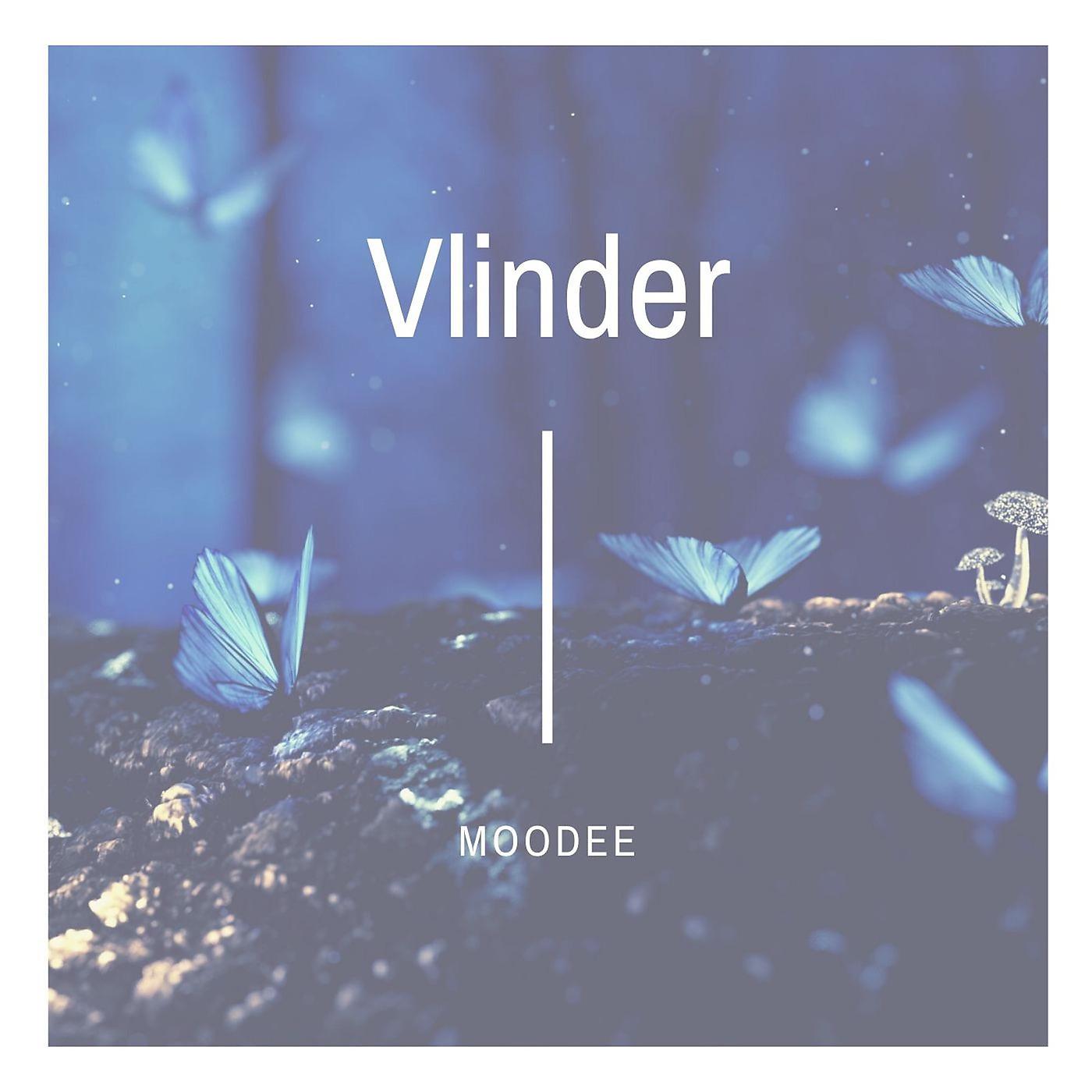 Постер альбома Vlinder